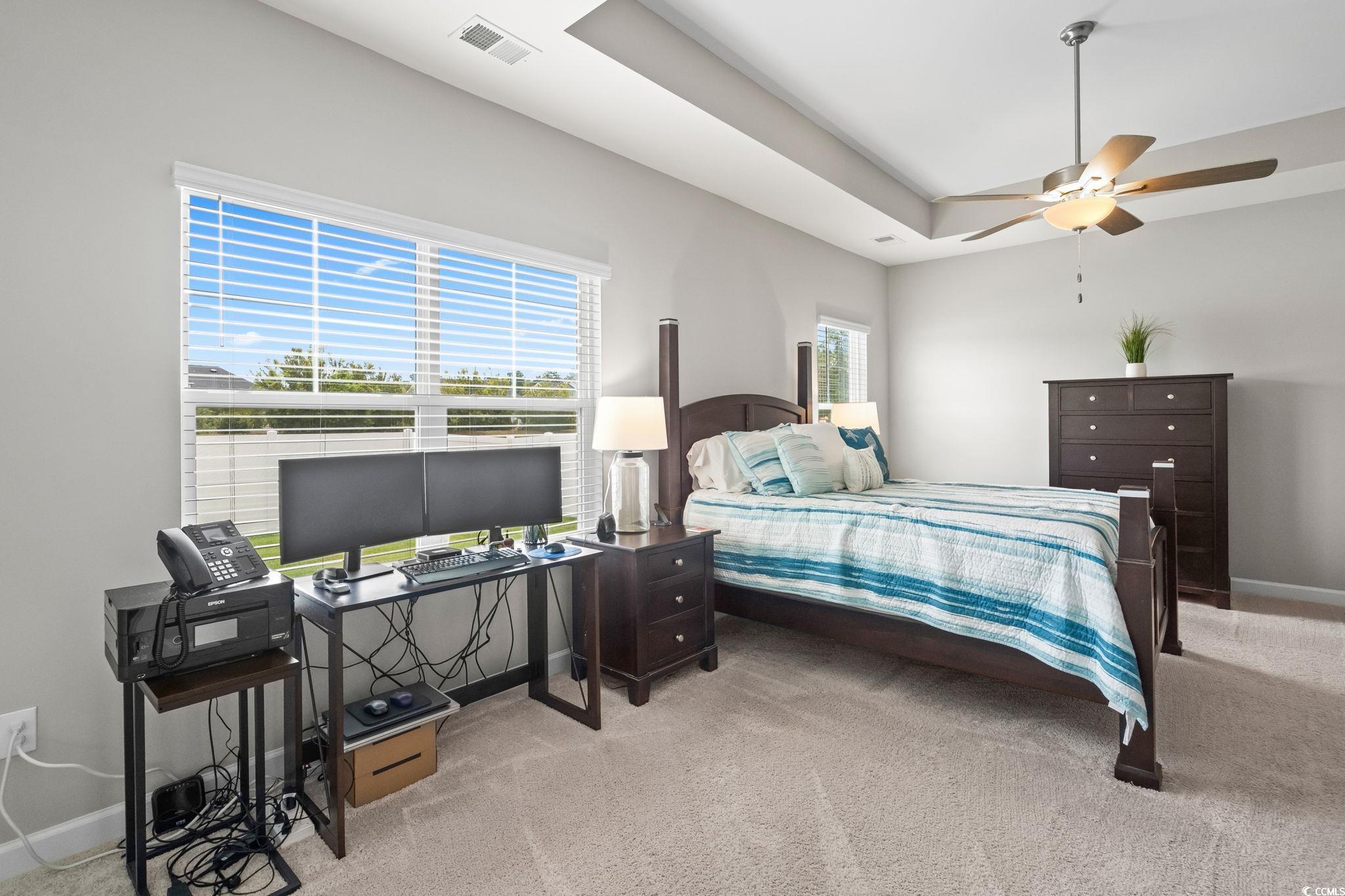 541 Fanciful Way Myrtle Beach, SC 29588 - Photo 30 of 40
