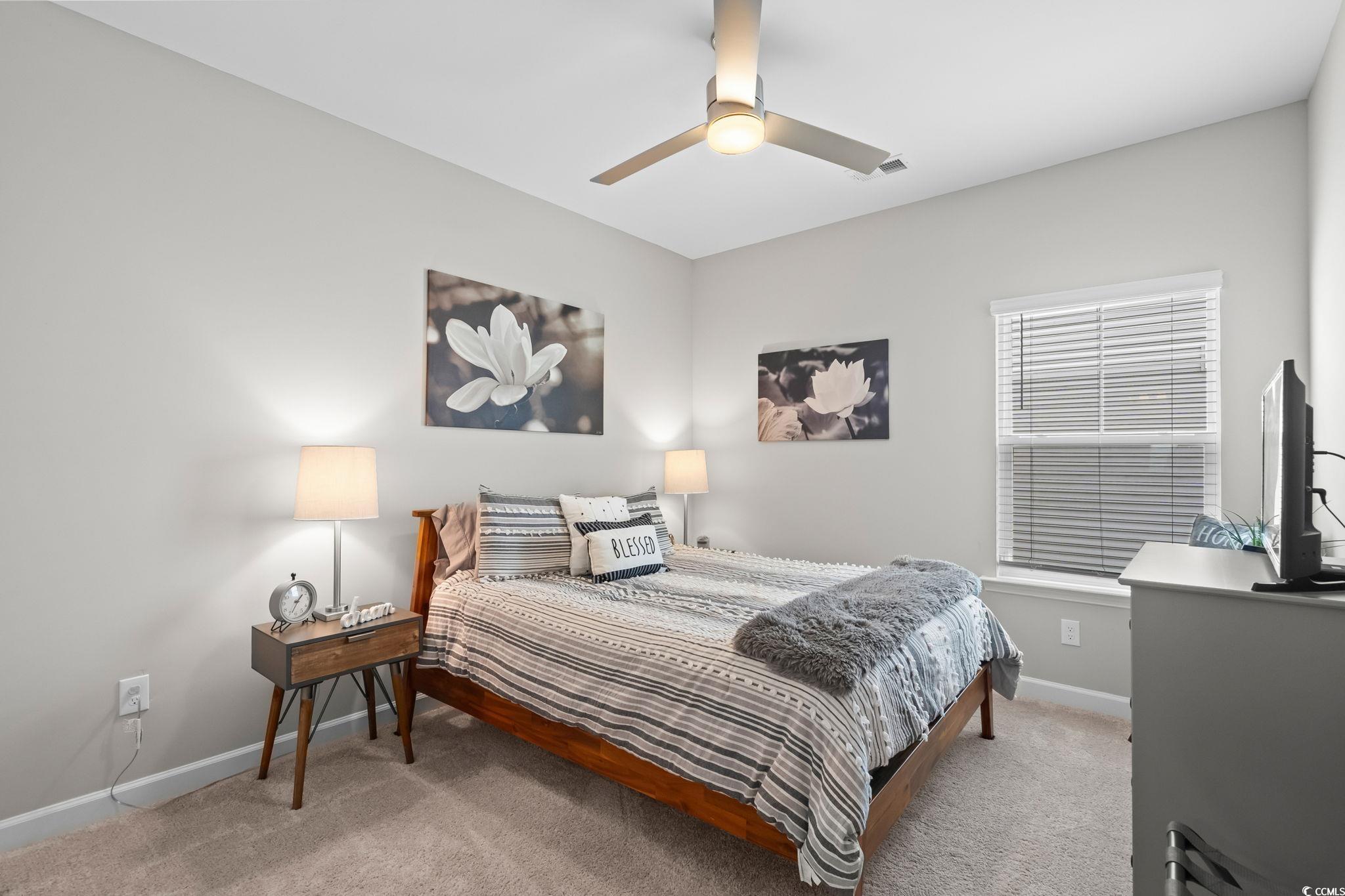 541 Fanciful Way Myrtle Beach, SC 29588 - Photo 35 of 40