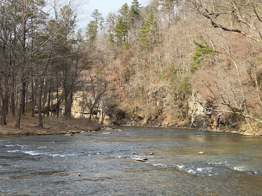 Undisclosed Address Talking Rock, GA 30175 - Photo 5 of 16