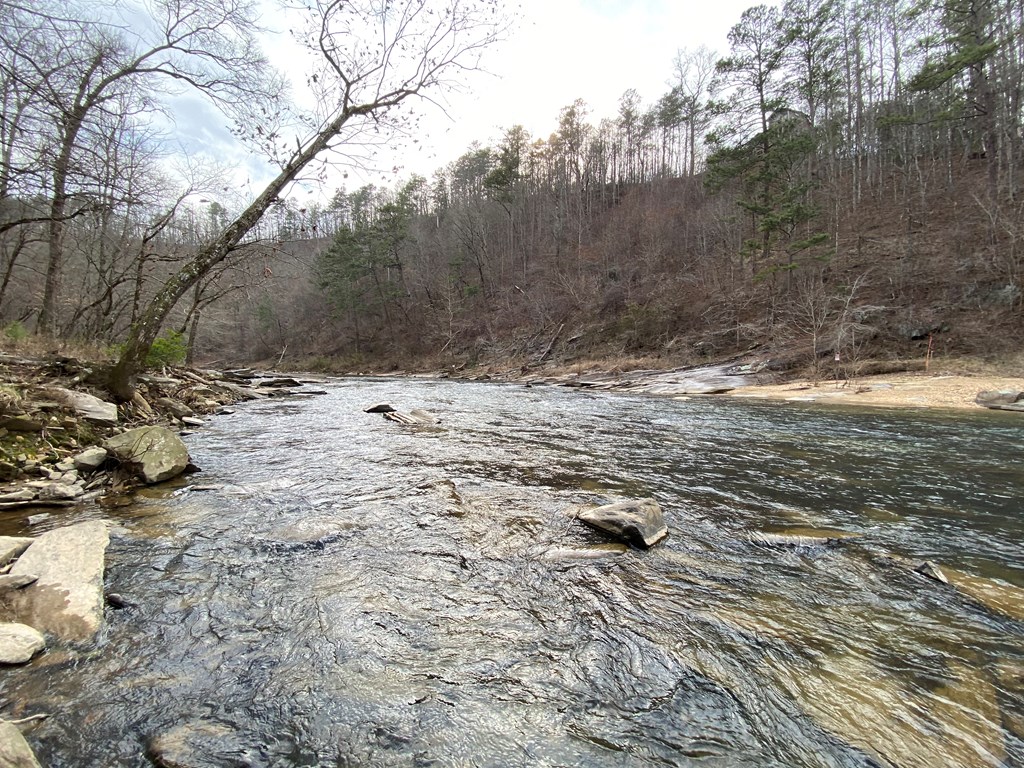 Undisclosed Address Talking Rock, GA 30175 - Photo 7 of 16 a view of a backyard of a house
