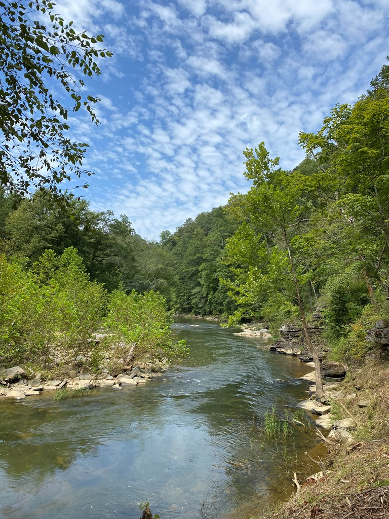 Undisclosed Address Talking Rock, GA 30175 - Photo 9 of 16 a view of a lake with lots of trees