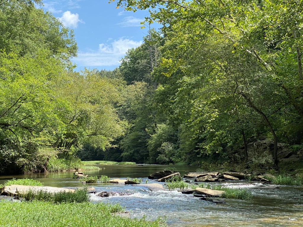 Undisclosed Address Talking Rock, GA 30175 - Photo 10 of 16 a view of a lake with houses