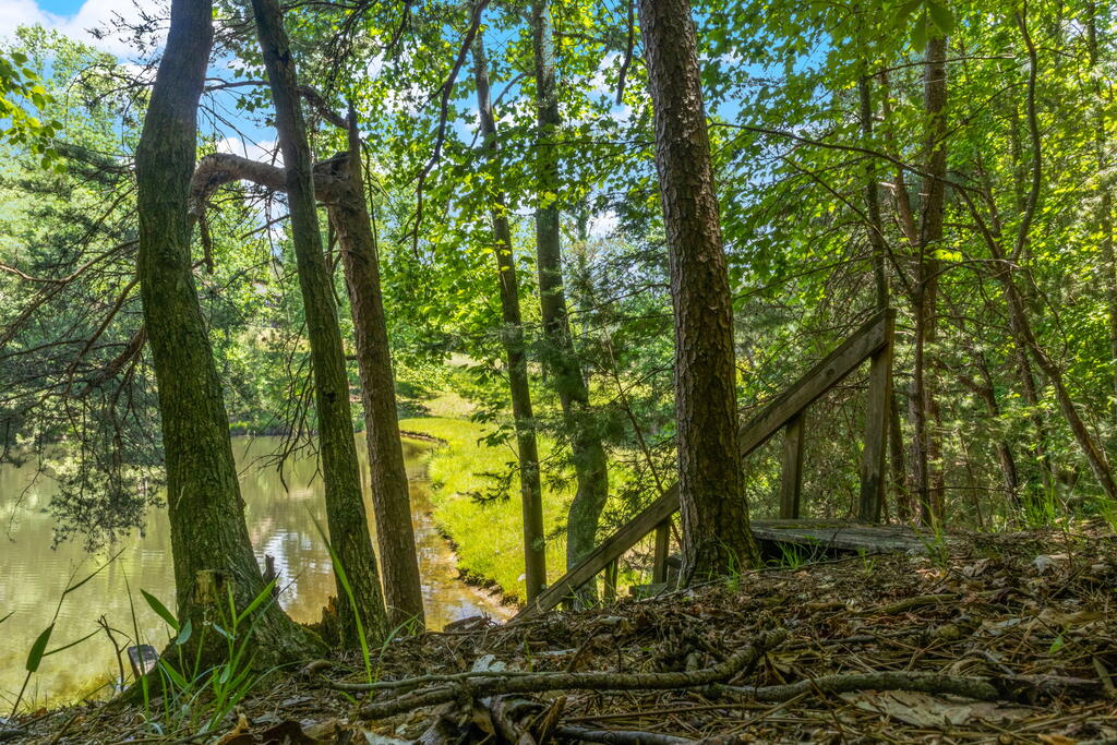 85 Misty Holw Road Ellijay, GA 30536 - Photo 63 of 75 Gallery Image 63