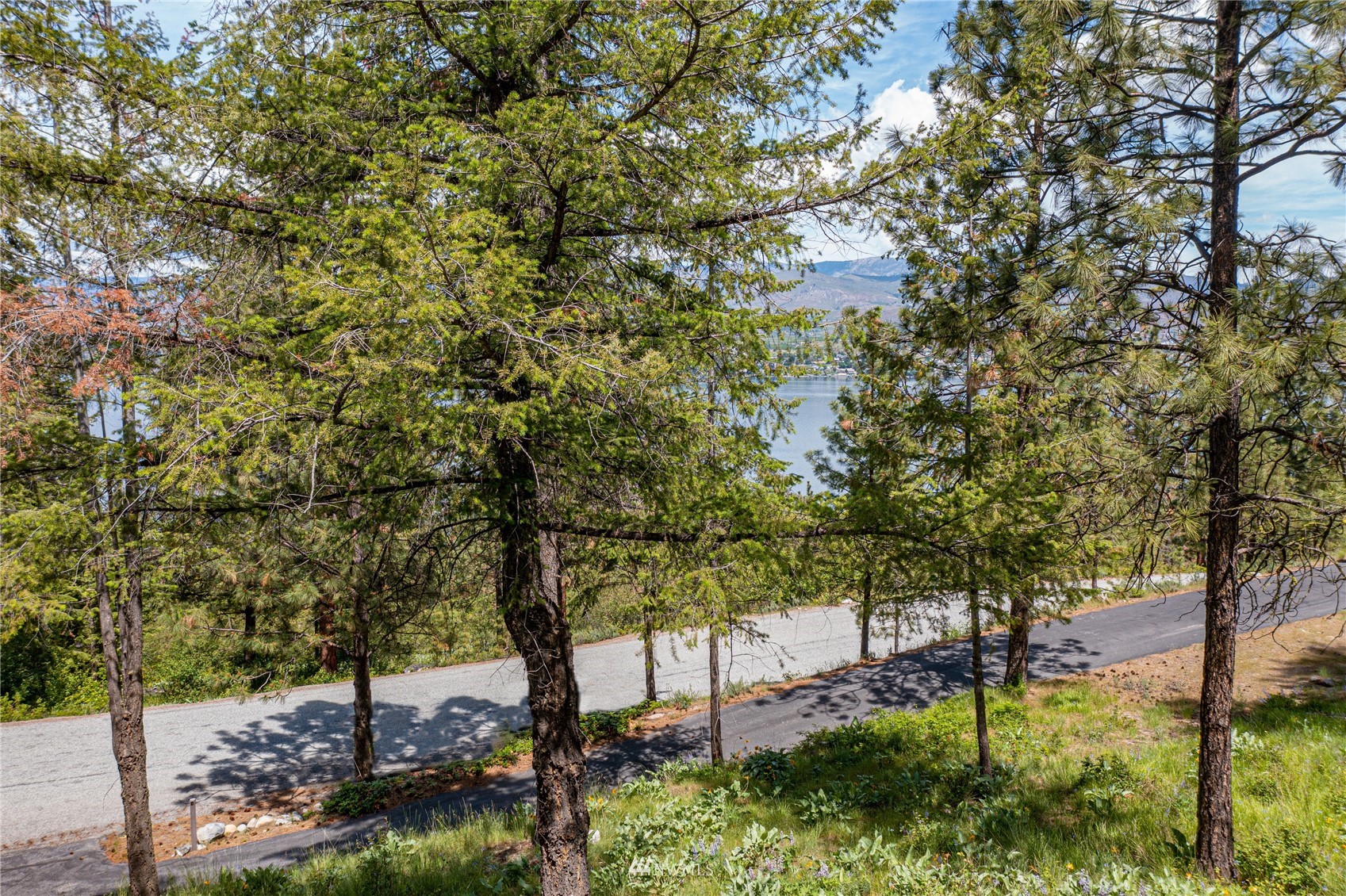 7395 Ridgeview Drive Chelan, WA 98816 - Photo 11 of 24 Gallery Image 11