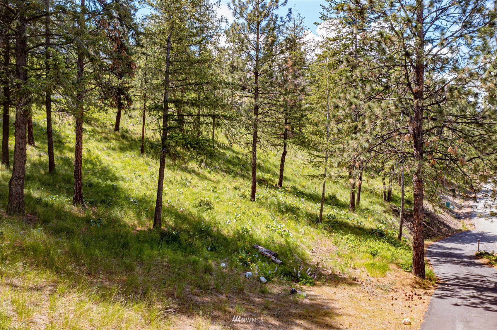 7395 Ridgeview Drive Chelan, WA 98816 - Photo 13 of 24 Gallery Image 13