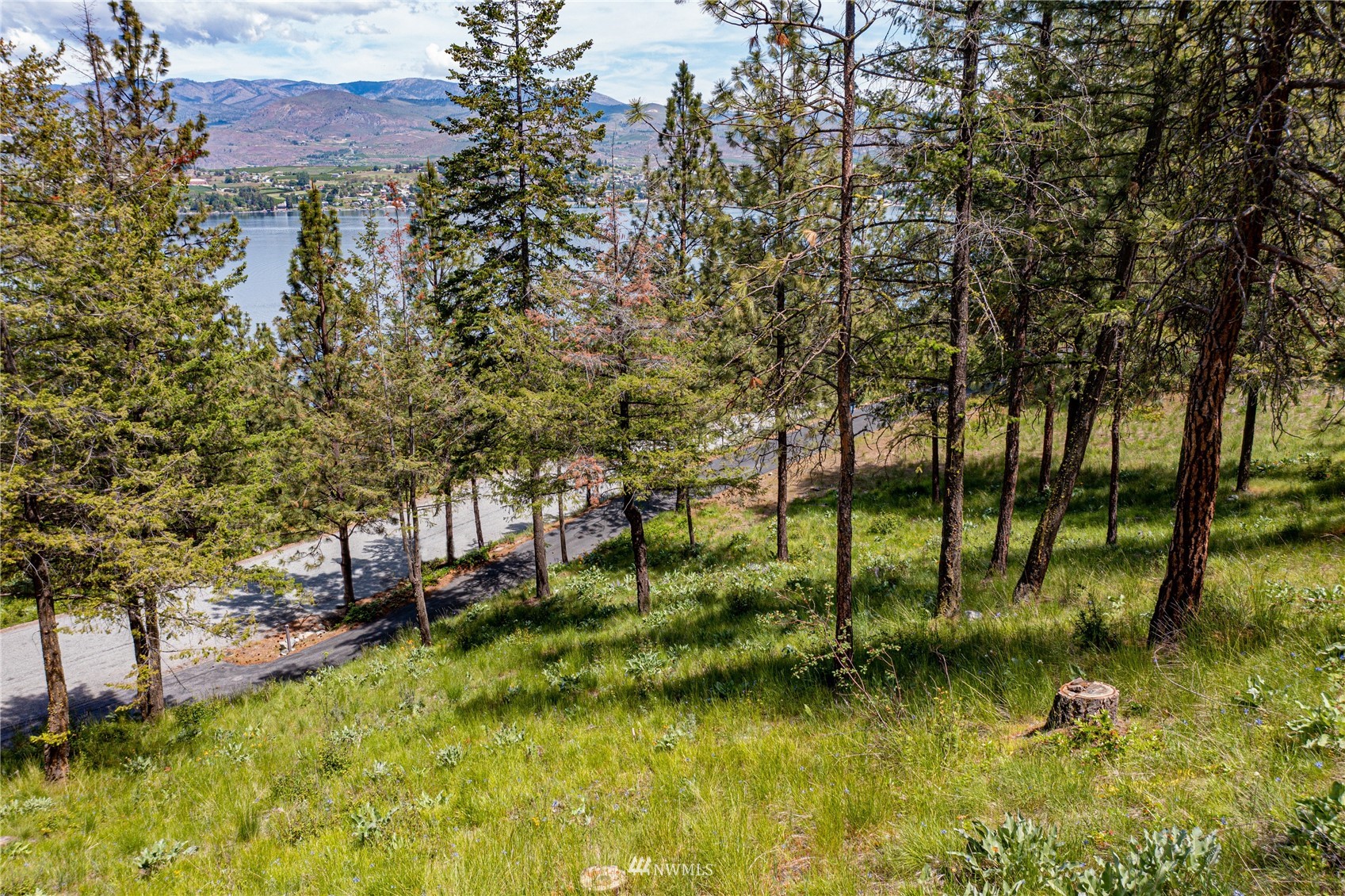 7395 Ridgeview Drive Chelan, WA 98816 - Photo 9 of 24 Gallery Image 9