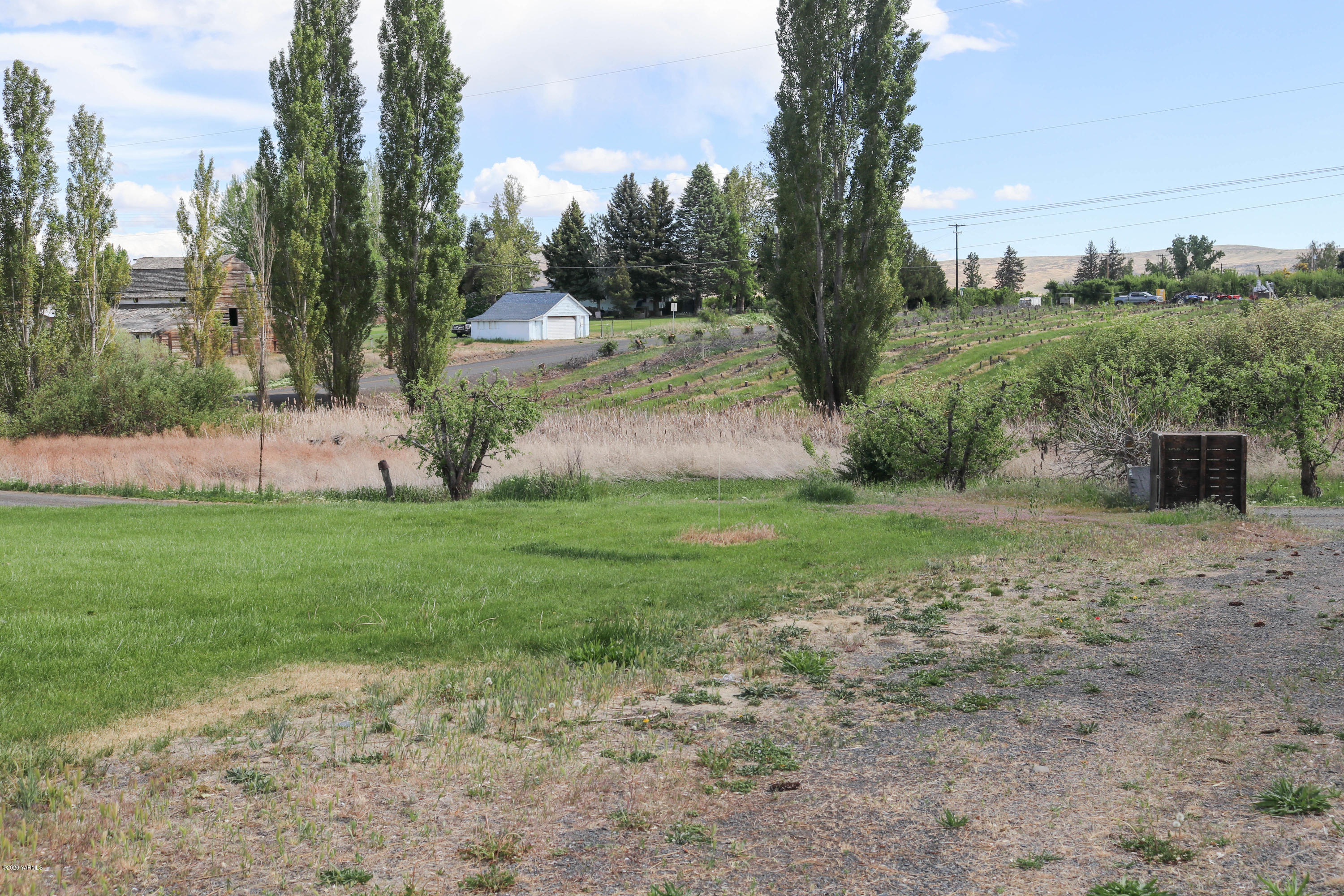 2412 Carlson Road Yakima, WA 98903 - Photo 16 of 24 a view of a garden with large trees