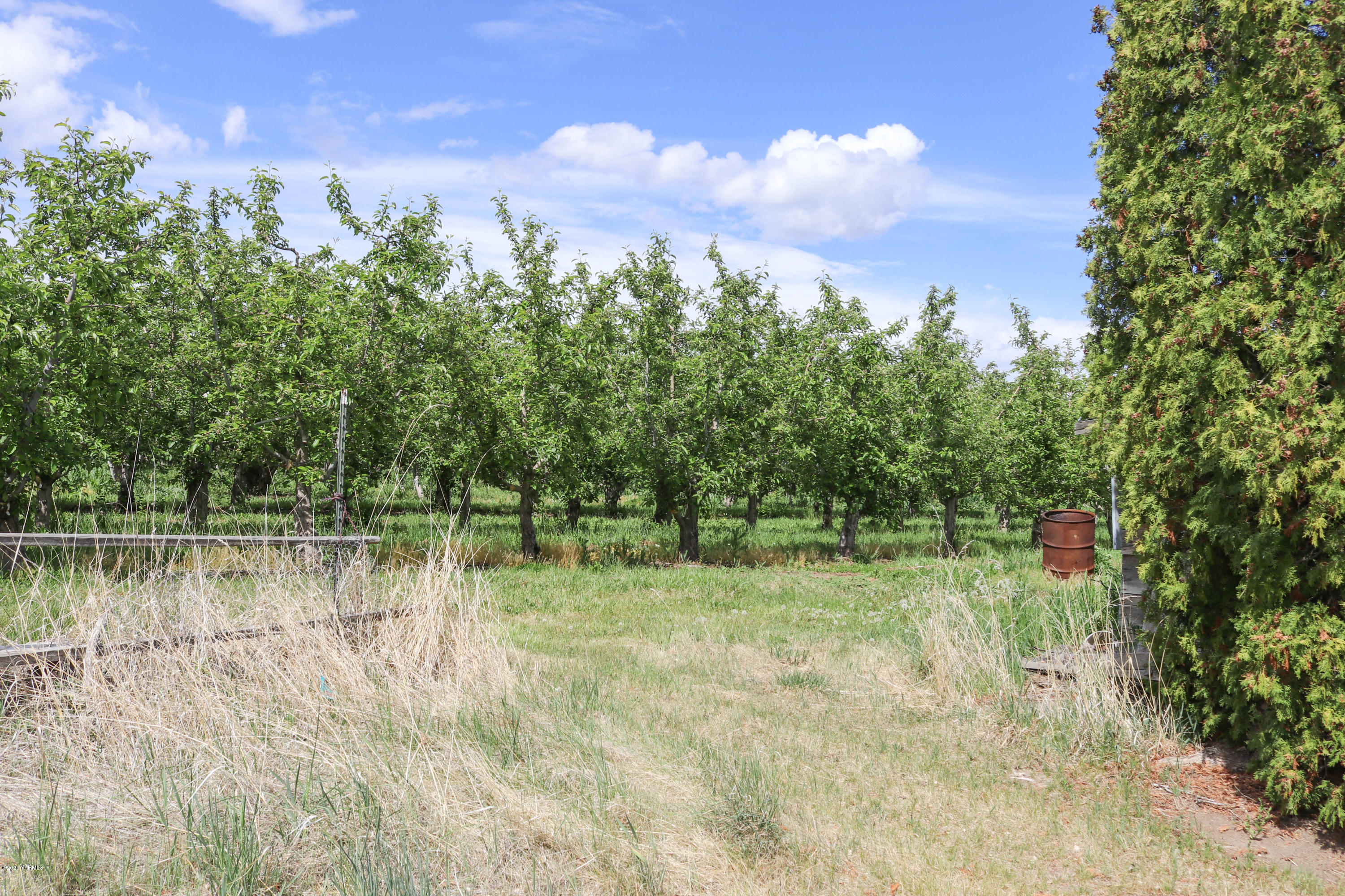 2412 Carlson Road Yakima, WA 98903 - Photo 18 of 24 a backyard of a house with lots of green space