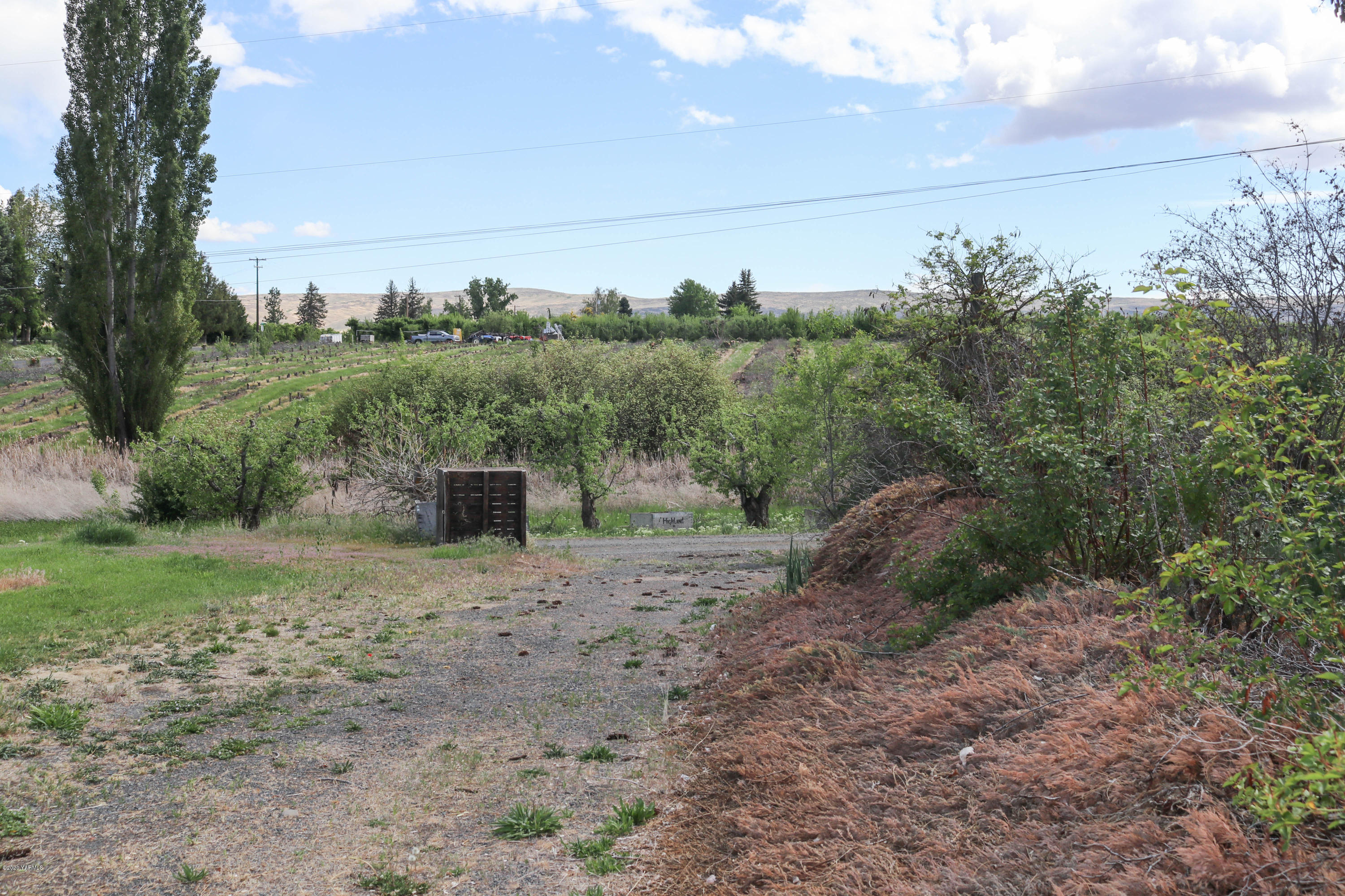 2412 Carlson Road Yakima, WA 98903 - Photo 19 of 24 a view of a dirt road with large trees
