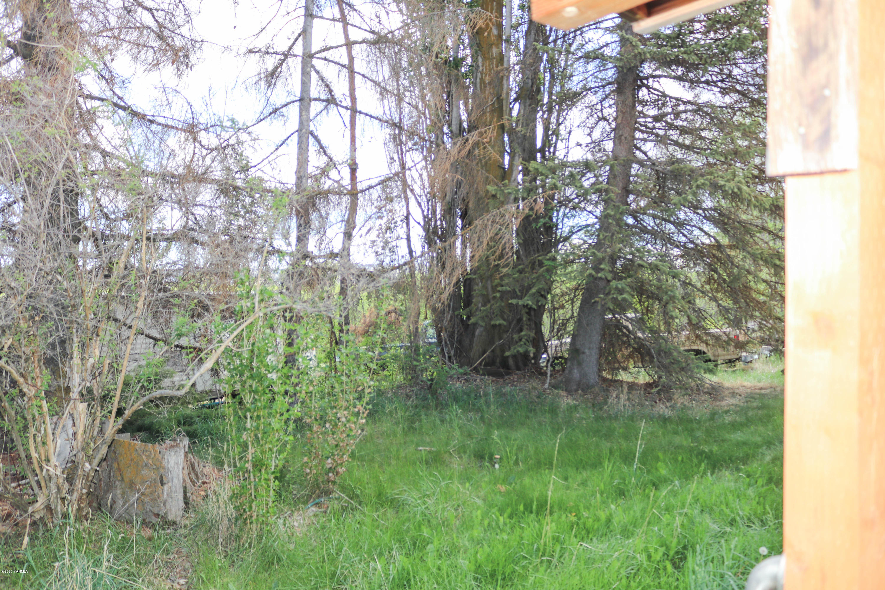 2412 Carlson Road Yakima, WA 98903 - Photo 20 of 24 a big yard with lots of green space and plants