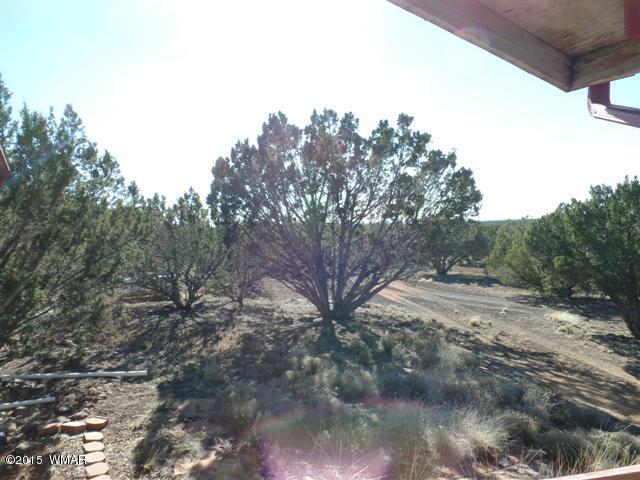 2213 Raven Road Show Low, AZ 85901 - Photo 11 of 12