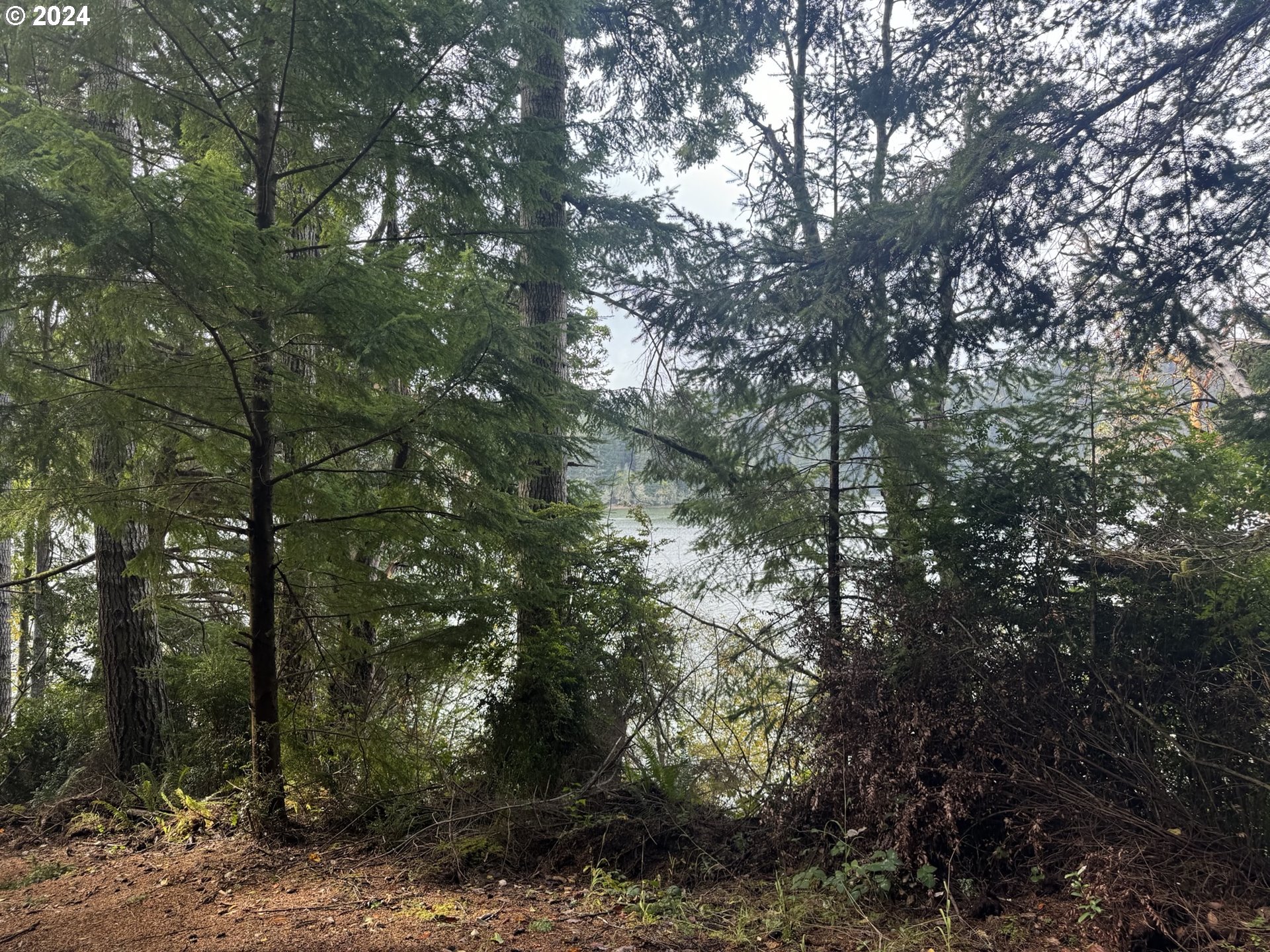 0 Potato Bottom Road, Unit 603 Lakeside, OR 97449 - Photo 12 of 27