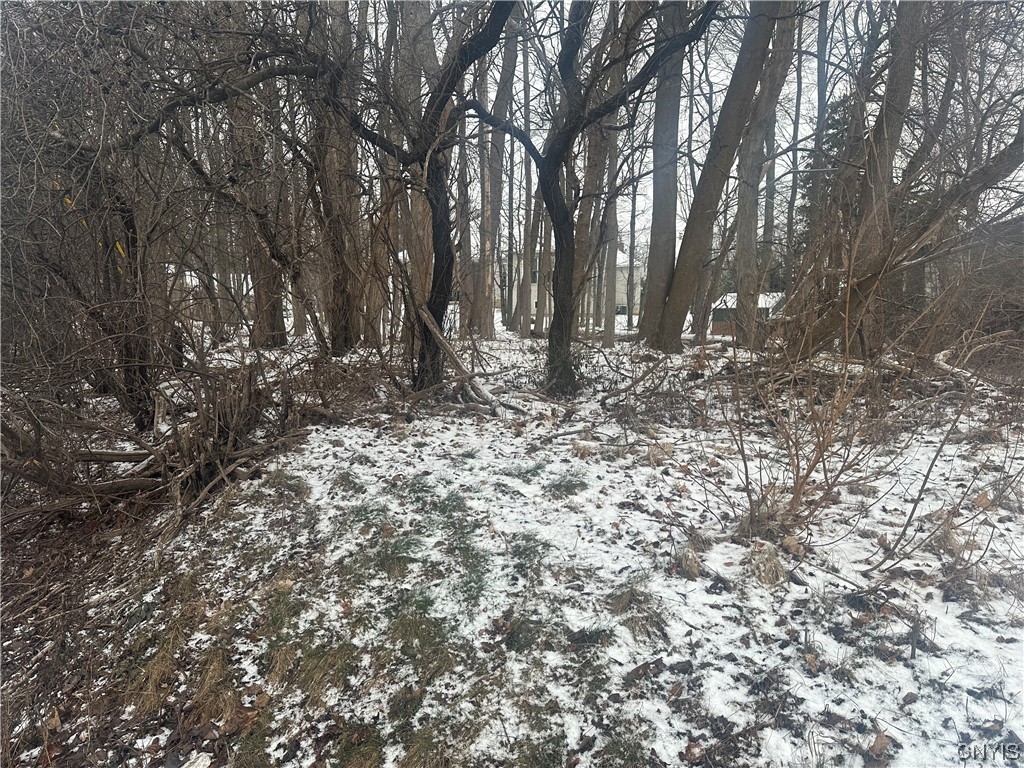 2502 West Genesee St