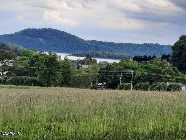 Blackwell Branch Road Rutledge, TN 37861 - Photo 1 of 7 tw7