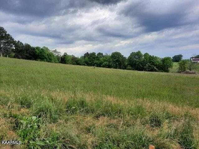 Blackwell Branch Road Rutledge, TN 37861 - Photo 4 of 7 tw4