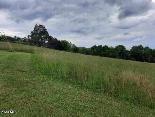 Blackwell Branch Road Rutledge, TN 37861 - Photo 5 of 7 tw3