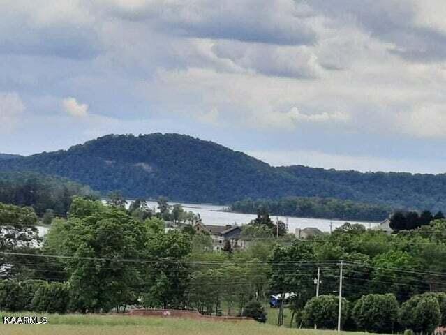 Blackwell Branch Road Rutledge, TN 37861 - Photo 7 of 7 Tw 1