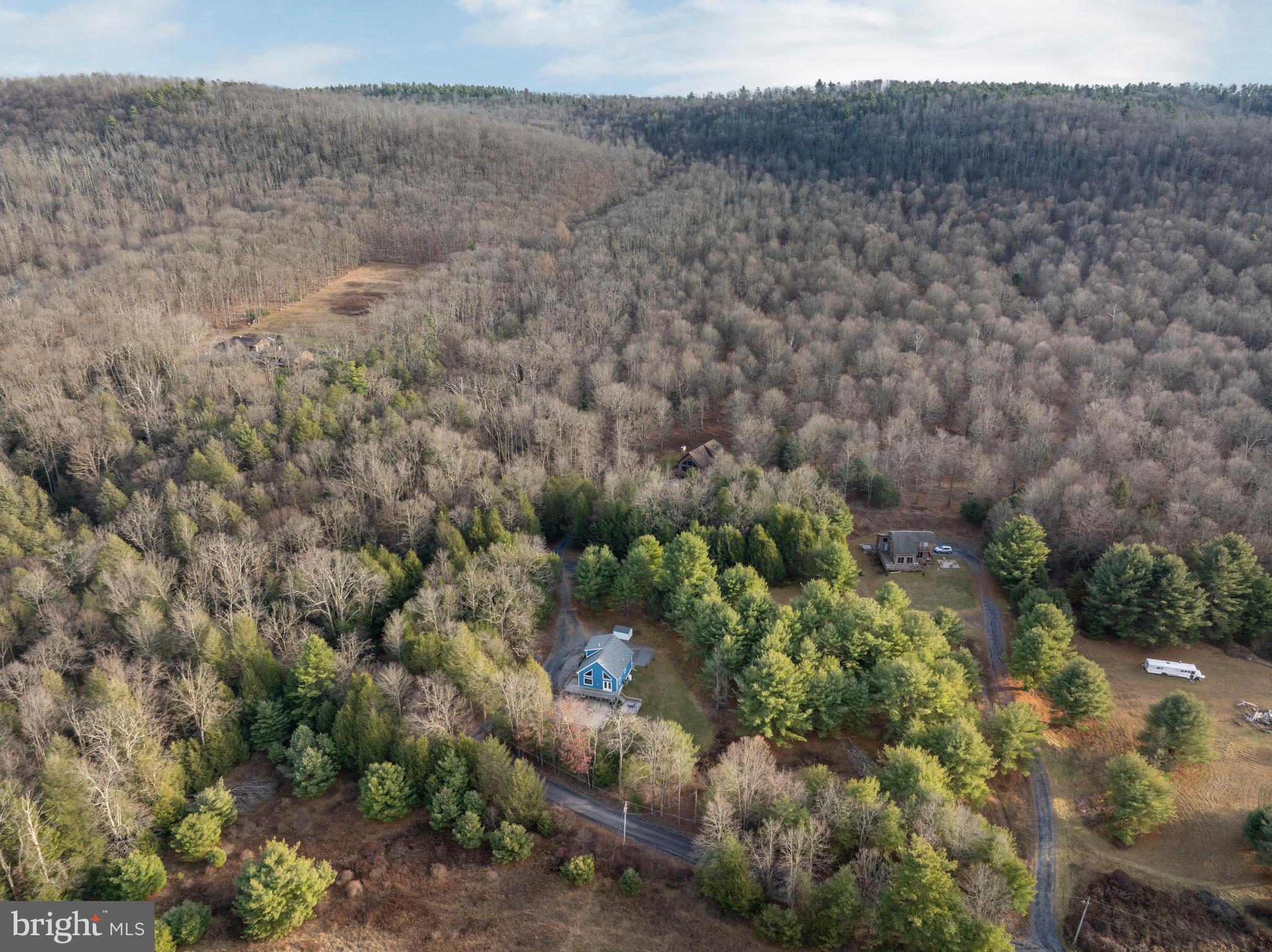 512 Decker Valley Road Spring Mills, PA 16875 - Photo 7 of 66 a view of a bunch of trees and bushes