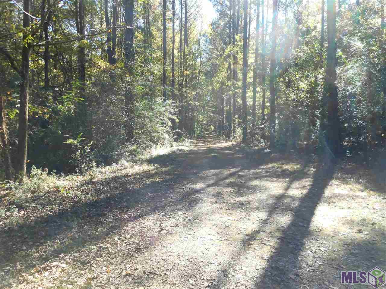 7430 C Lane Road Ethel, LA 70730 - Photo 1 of 5