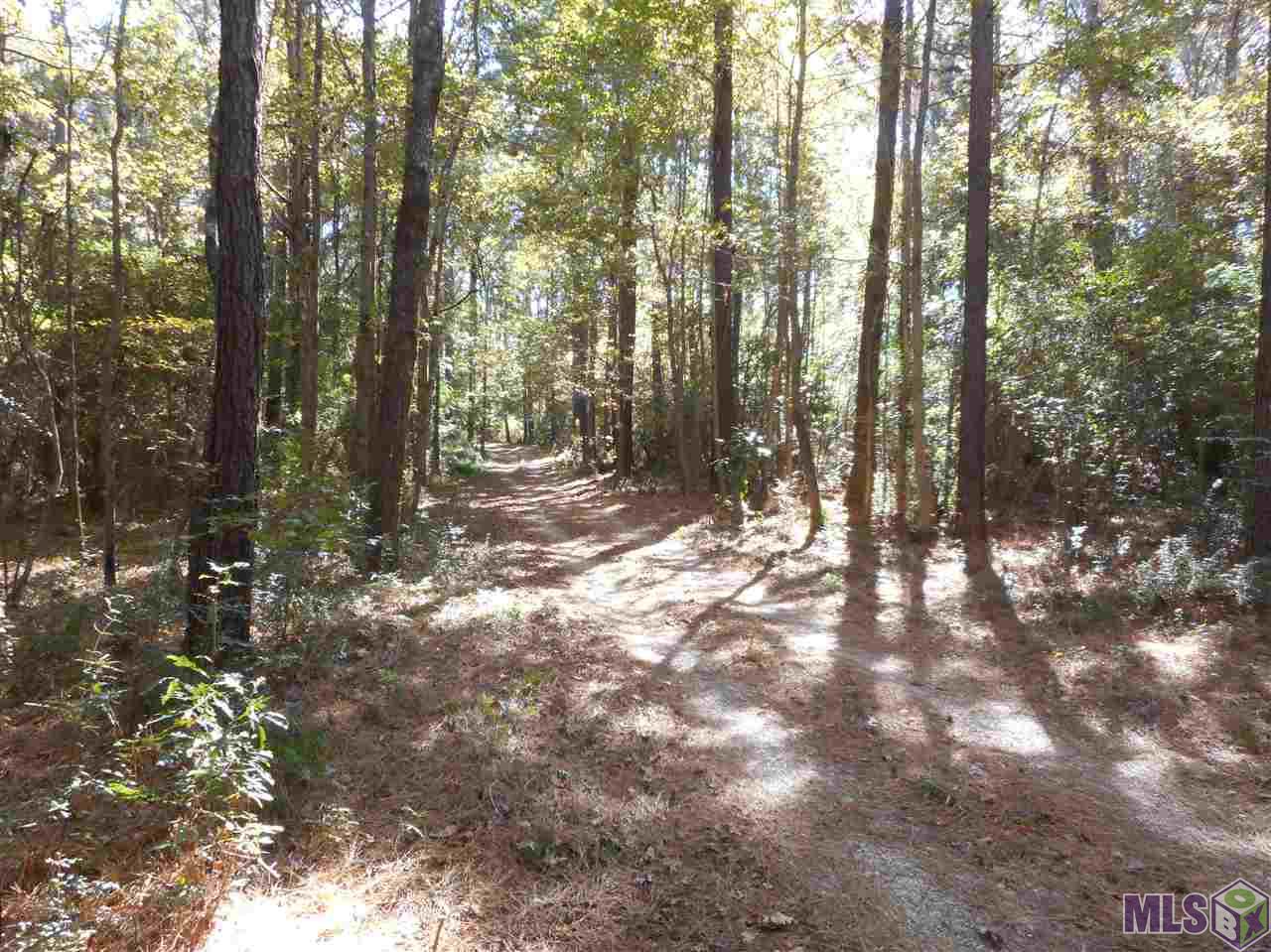 7430 C Lane Road Ethel, LA 70730 - Photo 2 of 5