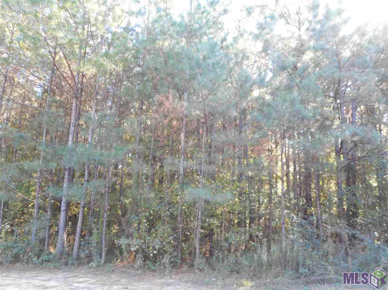 7430 C Lane Road Ethel, LA 70730 - Photo 3 of 5