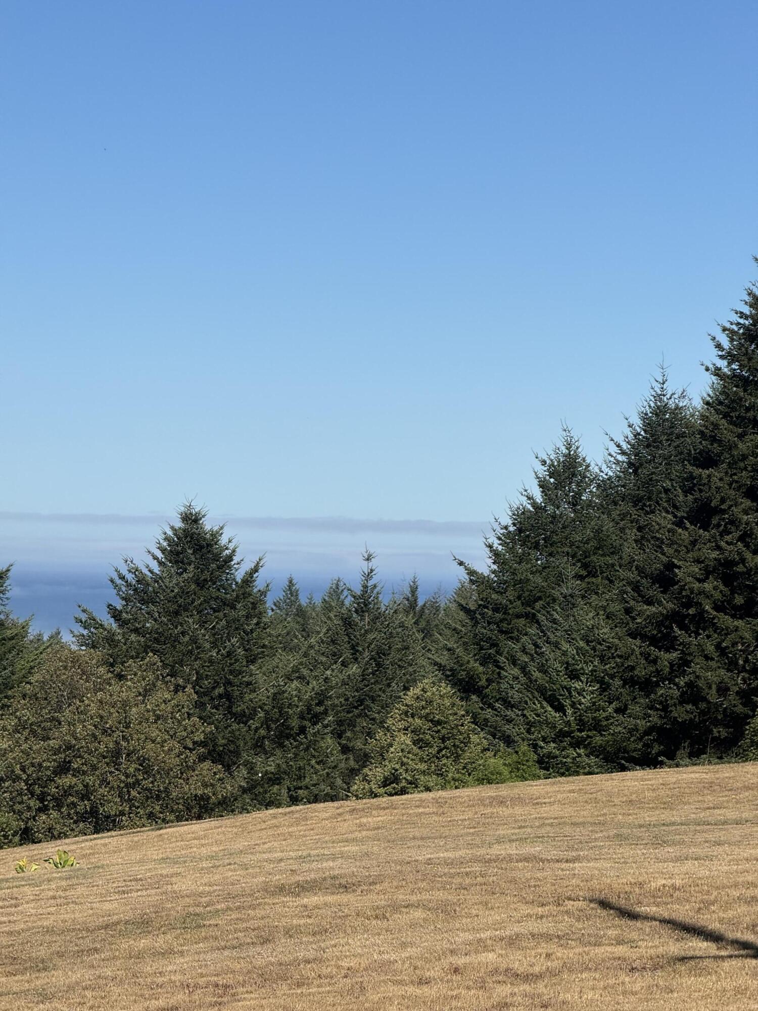 5 Spring Road Shelter Cove, CA 95589 - Photo 4 of 5 View