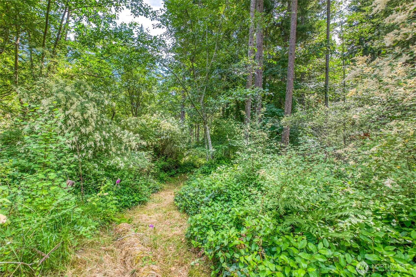 31 Colgan Creek Road Orcas Island, WA 98245 - Photo 38 of 40