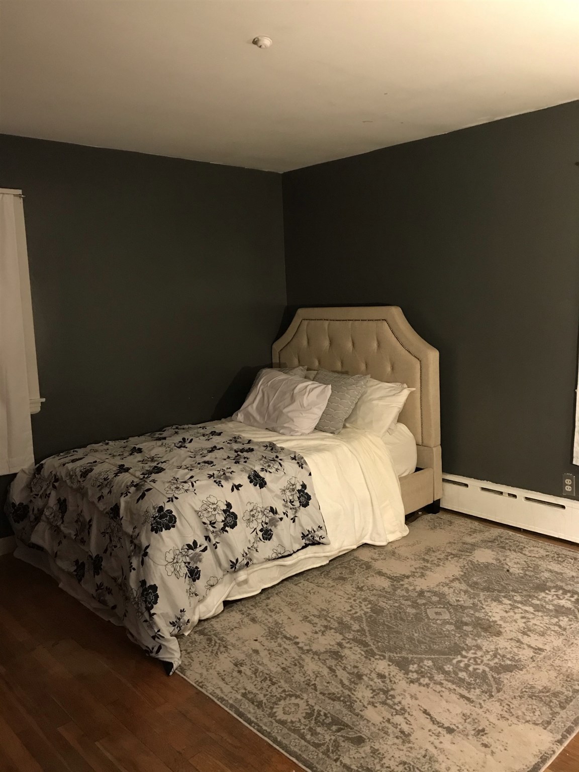 176 Shannon Road Salem, NH 03079 - Photo 20 of 24