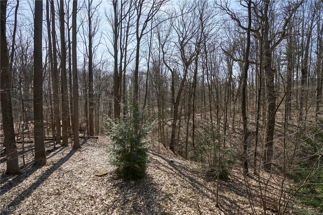 1570 Shade Road Akron, OH 44333 - Photo 45 of 45 featuring a wooded view, ravines and walking trails