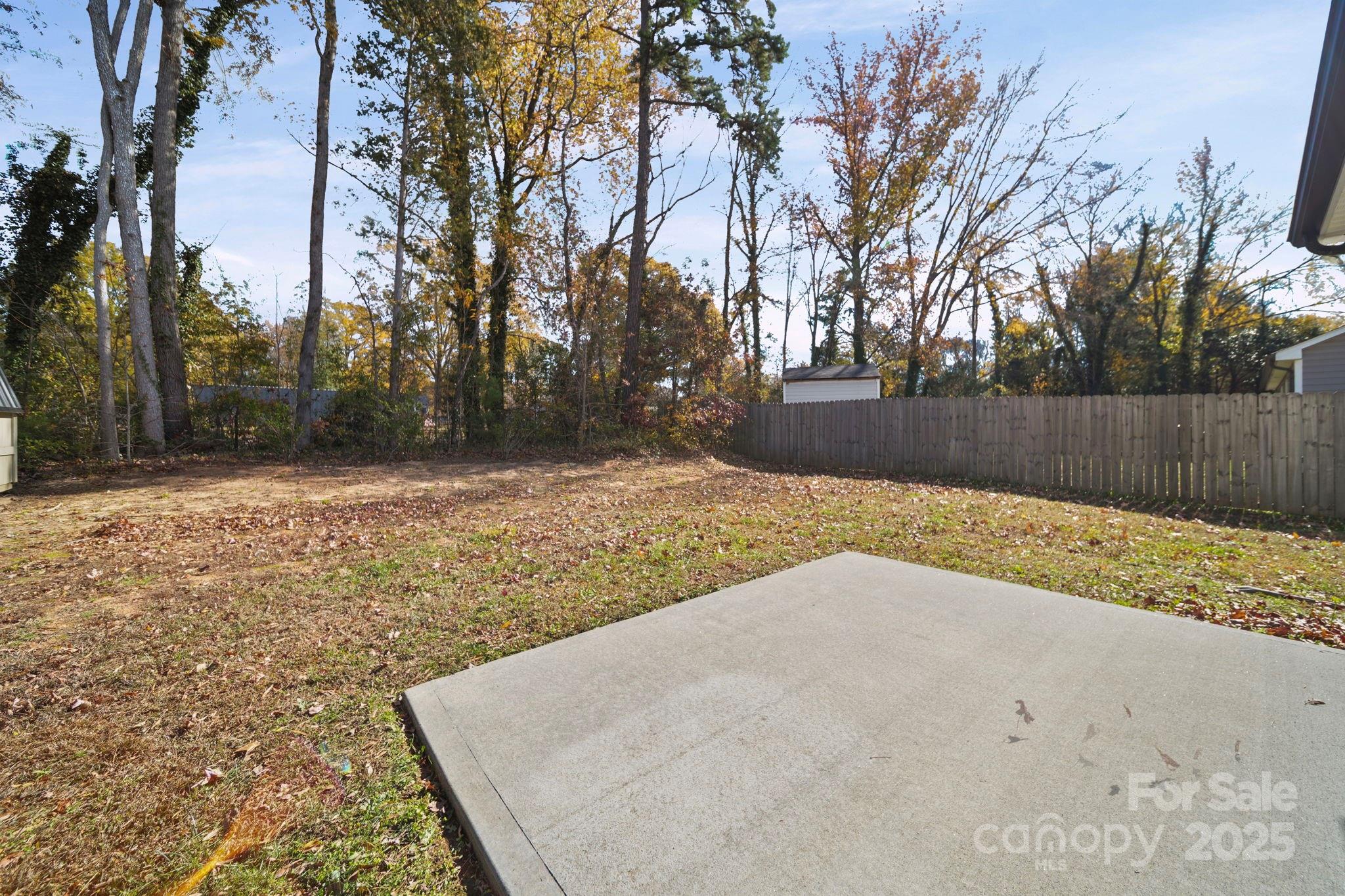 157 Crescent Street Kannapolis, NC 28081 - Photo 36 of 36 a view of backyard with tree