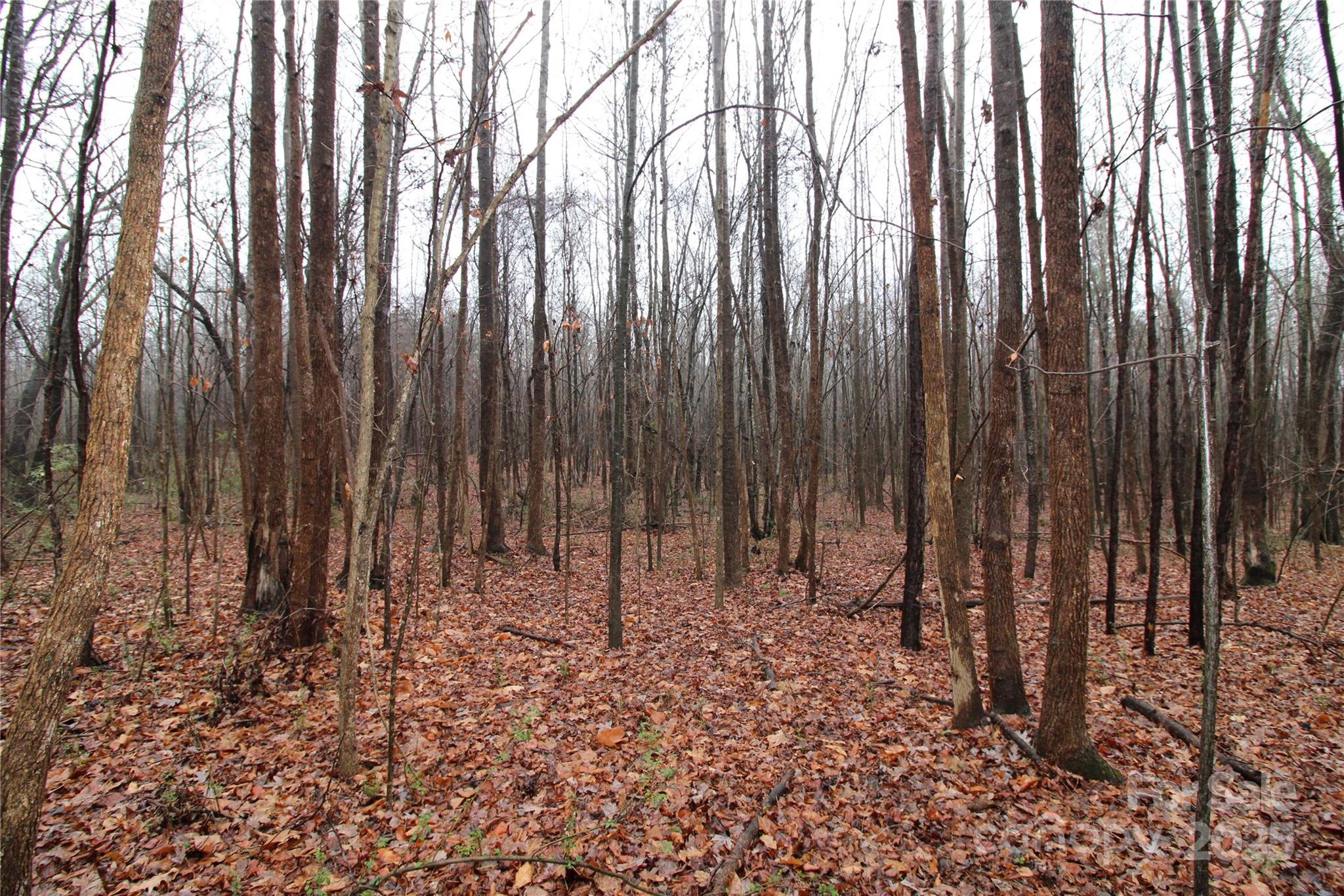 5-ac Eaker Road, Unit LOT N Bessemer City, NC 28016 - Photo 2 of 4 a view of wooden fence with trees