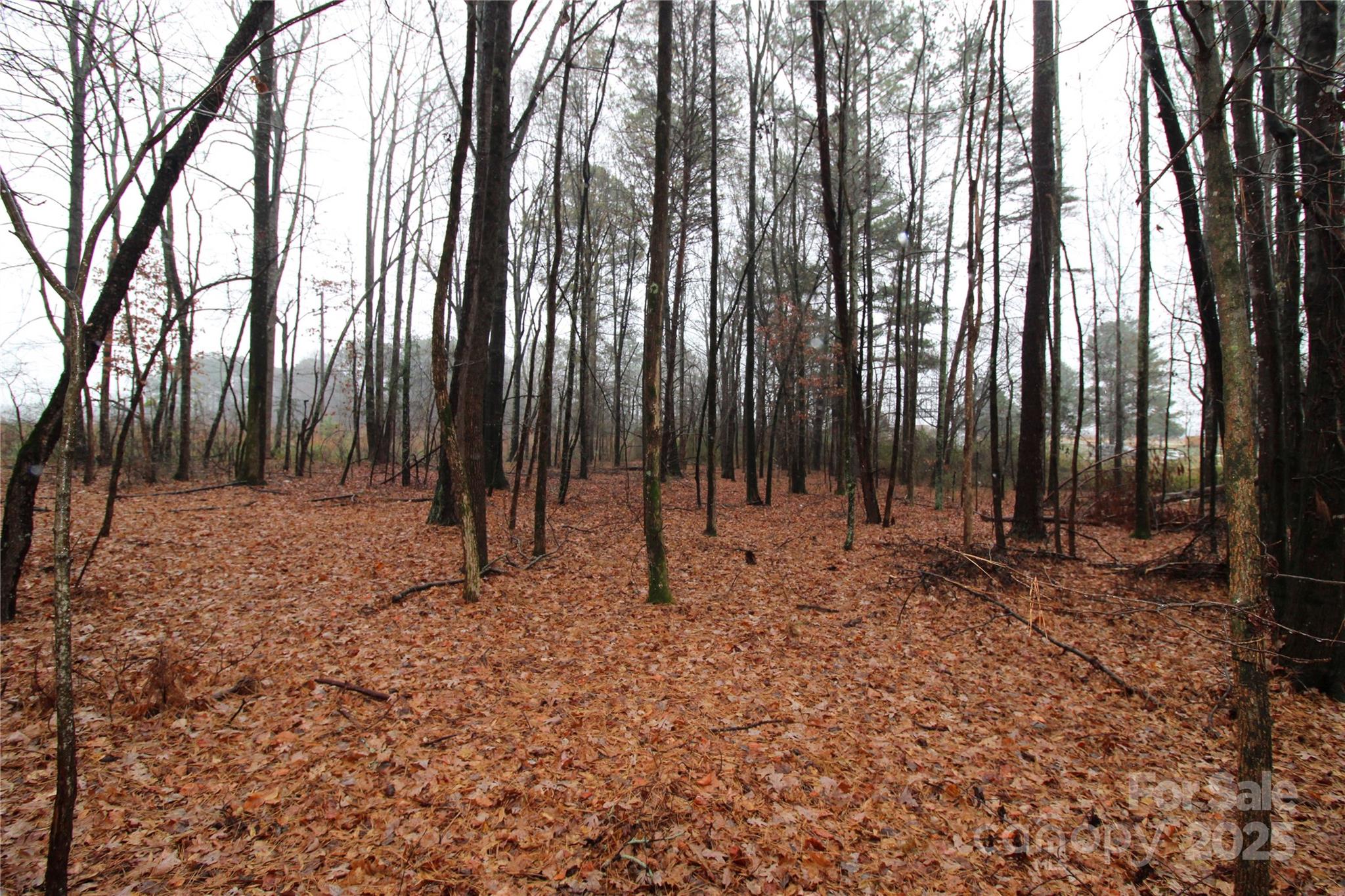 5-ac Eaker Road, Unit LOT N Bessemer City, NC 28016 - Photo 4 of 4 a view of outdoor space with lots of trees