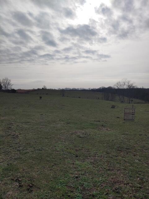 1700 Cummins Ferry Road Salvisa, KY 40372 - Photo 13 of 16 4102343037211132983