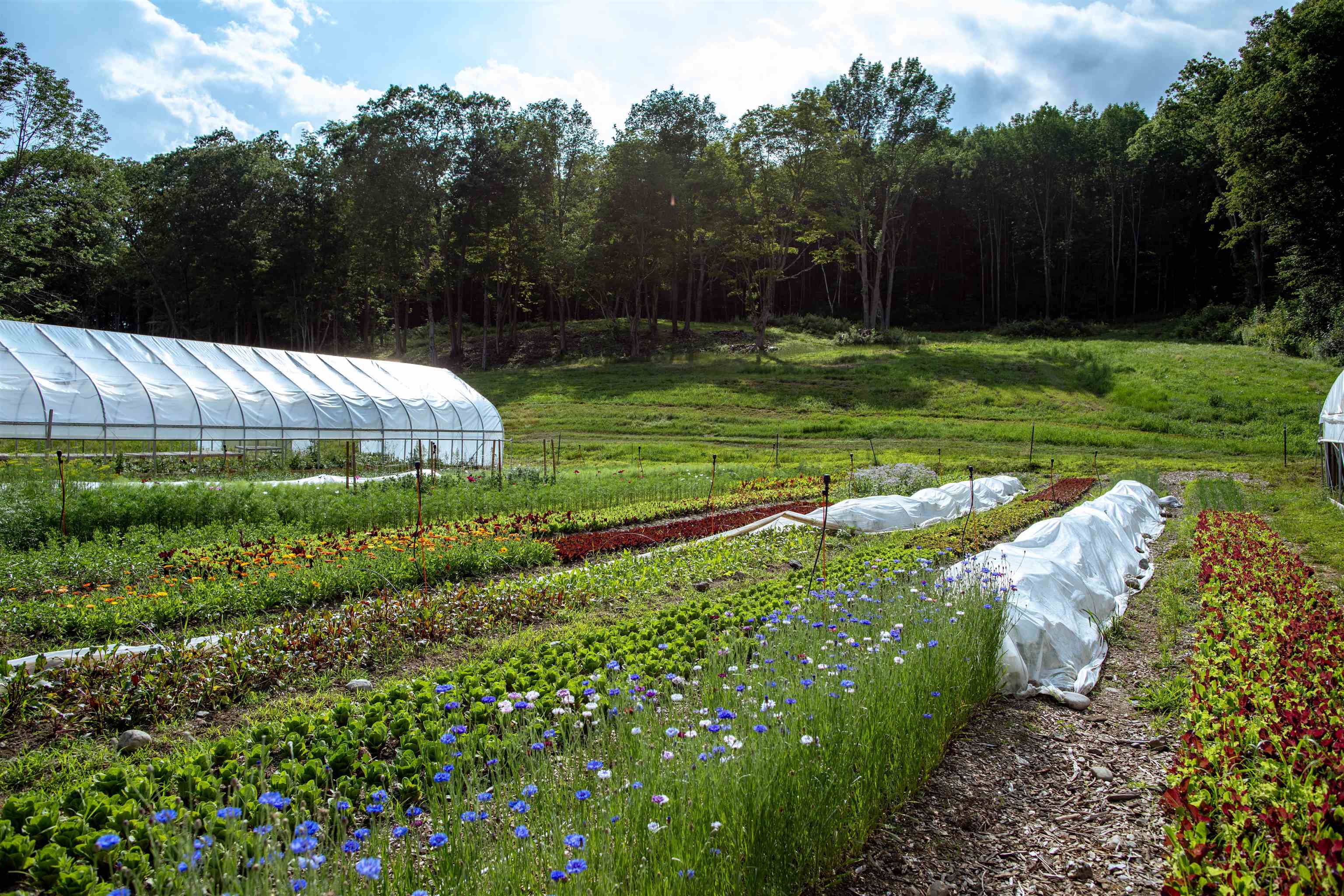 109 Morgan Road Tinmouth, VT 05777 - Photo 44 of 56