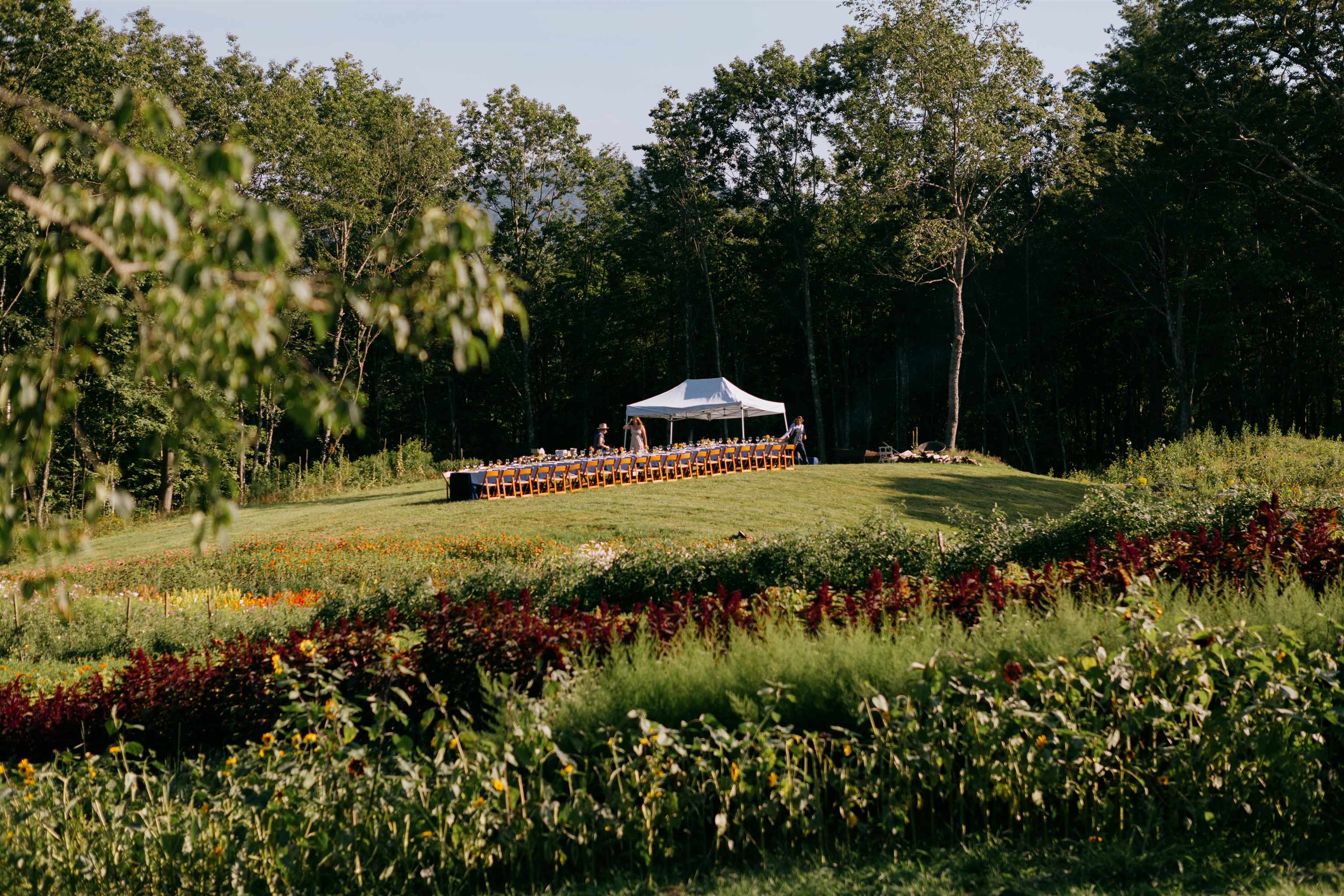 109 Morgan Road Tinmouth, VT 05777 - Photo 47 of 56