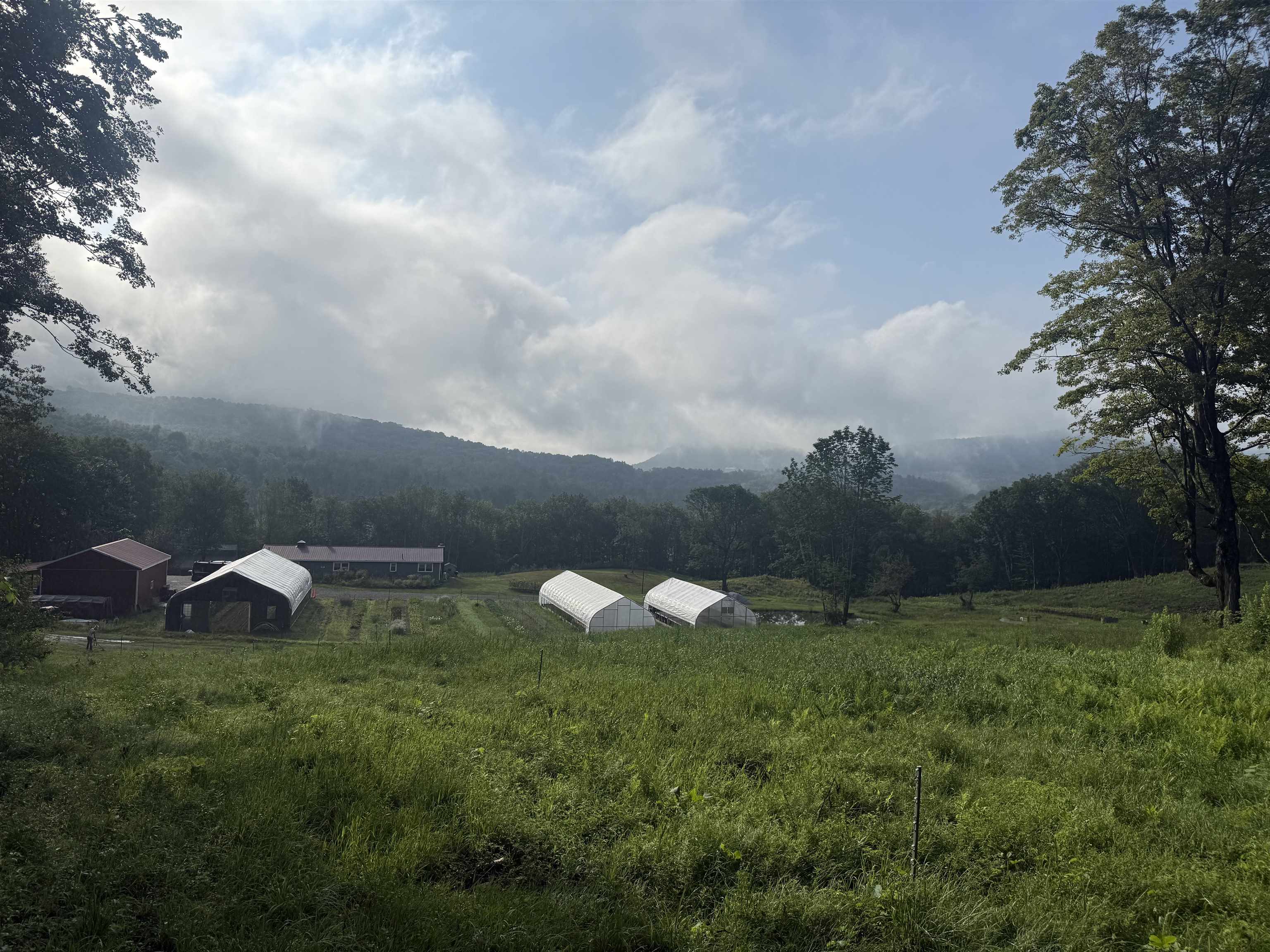 109 Morgan Road Tinmouth, VT 05777 - Photo 49 of 56