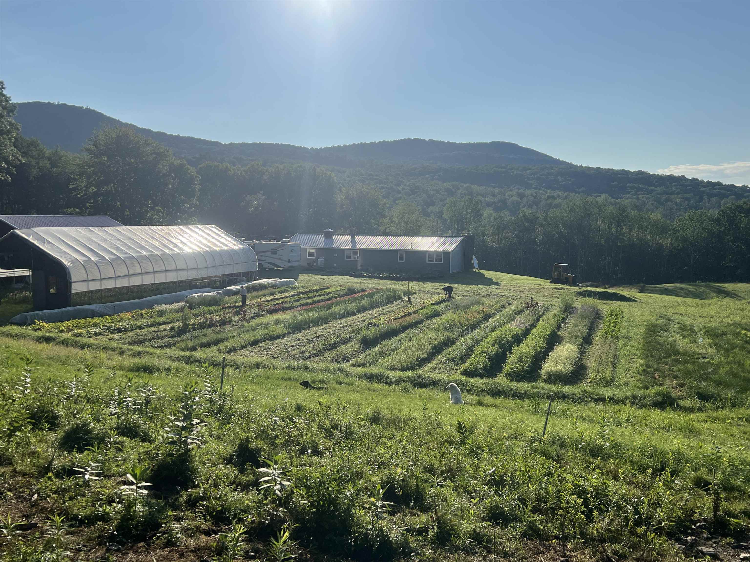 109 Morgan Road Tinmouth, VT 05777 - Photo 50 of 56
