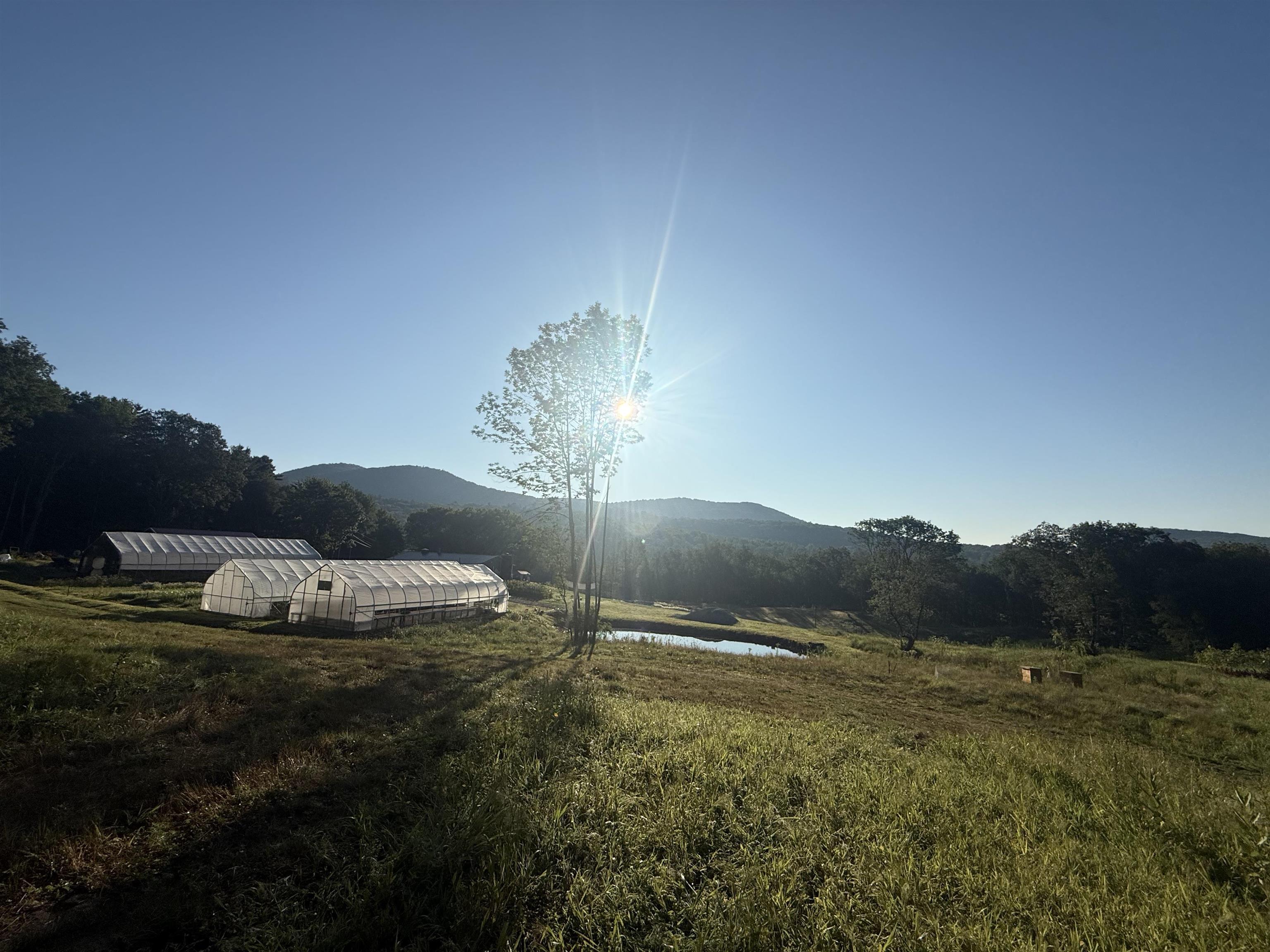 109 Morgan Road Tinmouth, VT 05777 - Photo 53 of 56
