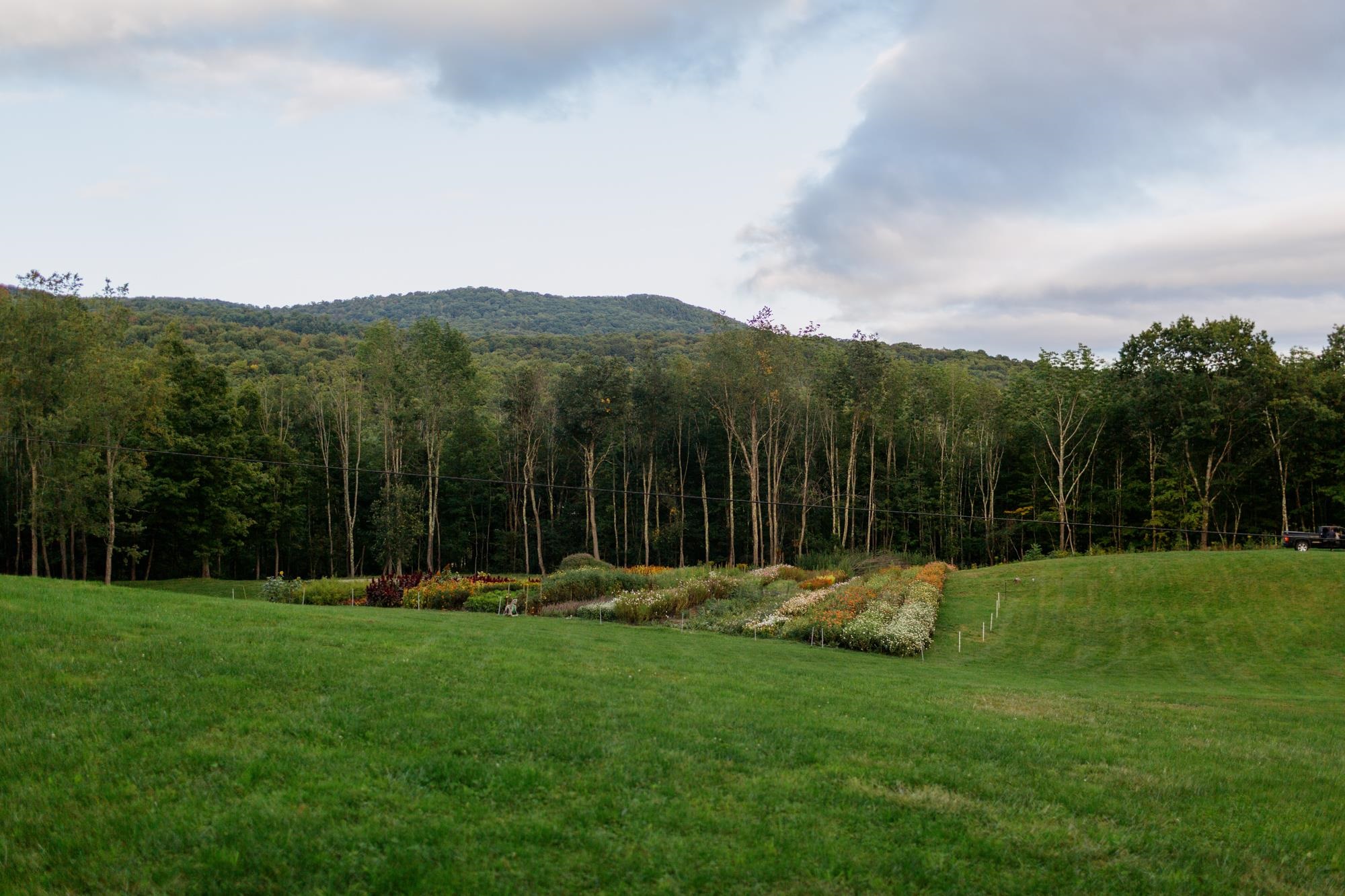 109 Morgan Road Tinmouth, VT 05777 - Photo 56 of 56