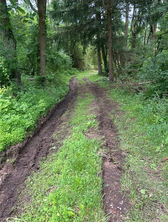 368 Turkeyfoot Road Venetia, PA 15367 - Photo 19 of 28 a big yard with lots of green space and deers