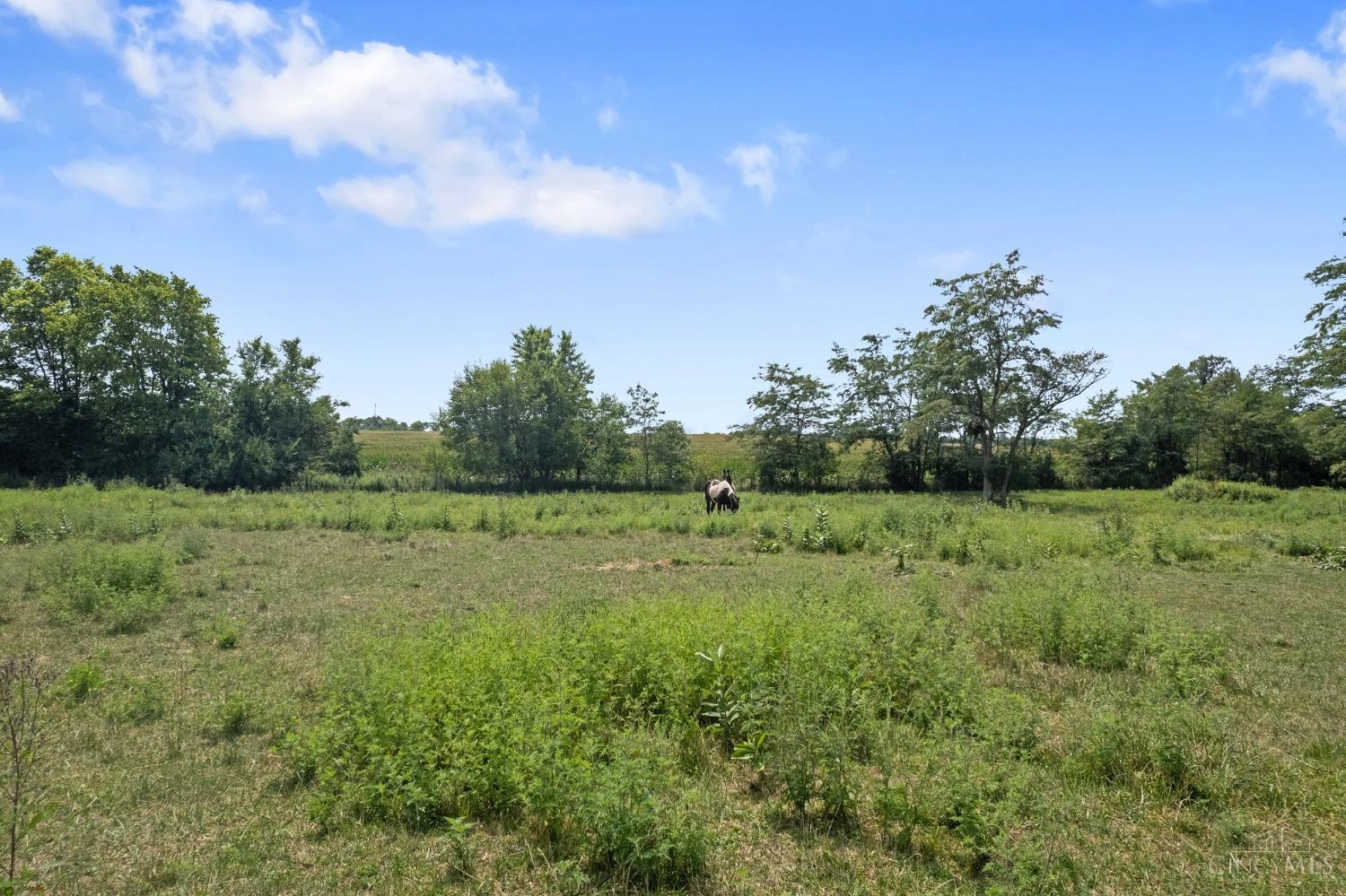 790 Powell Road New Vienna, OH 45159 - Photo 19 of 37