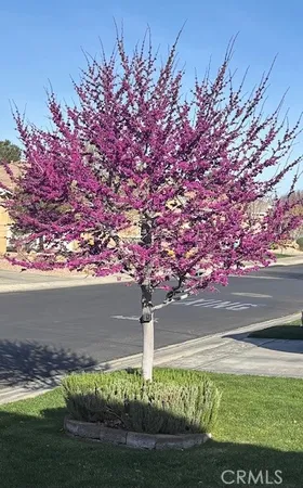 $408,500 | 10812 Katepwa Street, Apple Valley, CA 92308