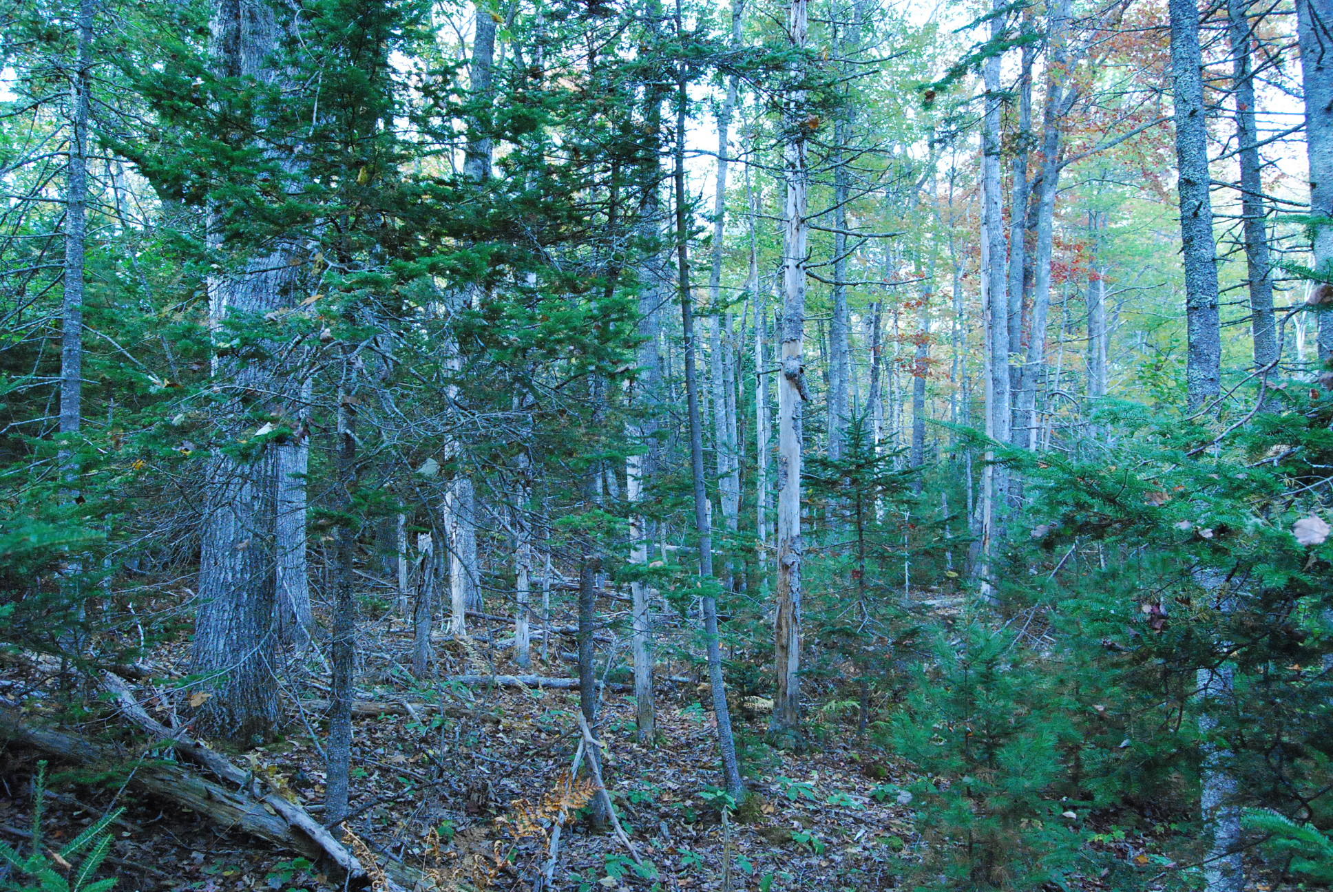 0 Rt 32 Round Pond, ME 04564 - Photo 4 of 7 55FB6A26-5FAD-4FD2-B81F-F0671F8E3601