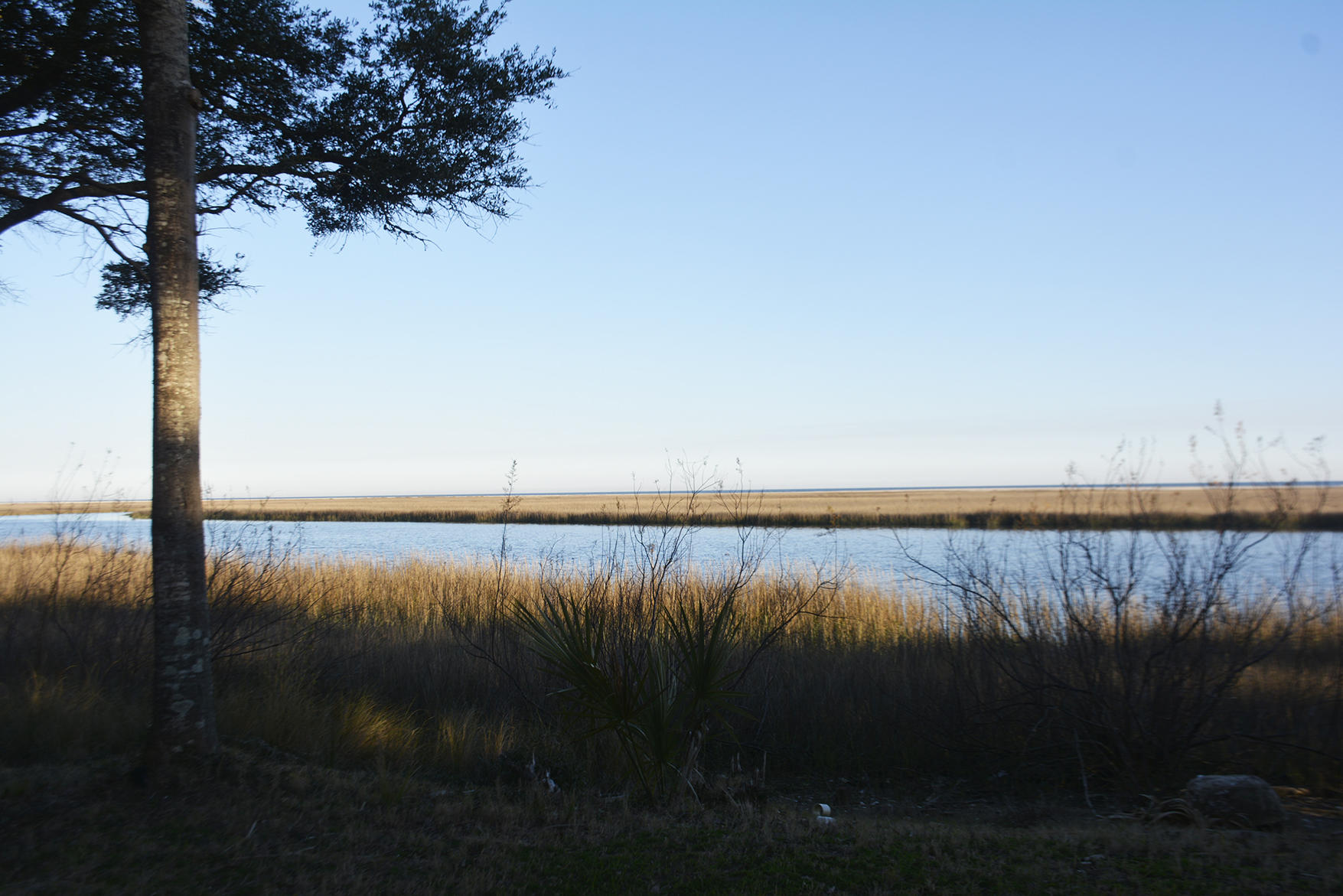 1199 Framptons Inlet Road Edisto Island, SC 29438 - Photo 11 of 69 _DSC7229