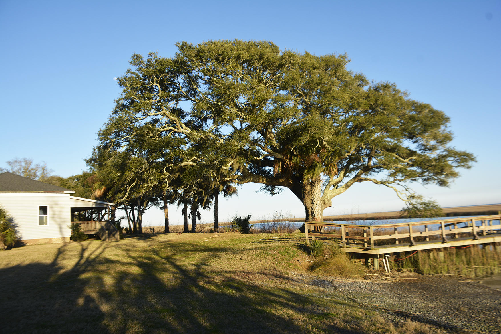 1199 Framptons Inlet Road Edisto Island, SC 29438 - Photo 14 of 69 _DSC7236