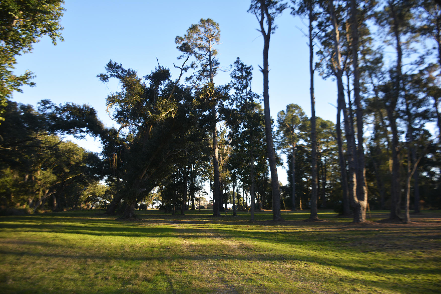 1199 Framptons Inlet Road Edisto Island, SC 29438 - Photo 21 of 69 _DSC7200