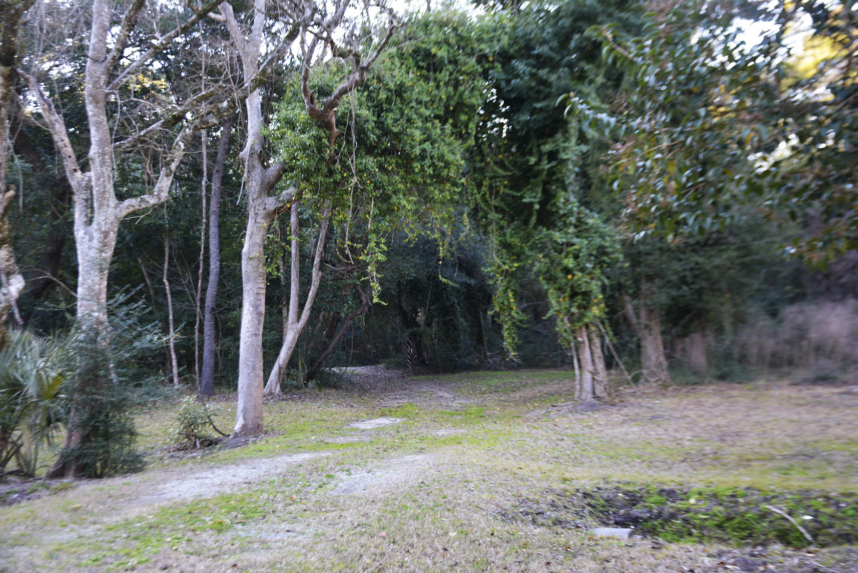 1199 Framptons Inlet Road Edisto Island, SC 29438 - Photo 22 of 69 _DSC7201