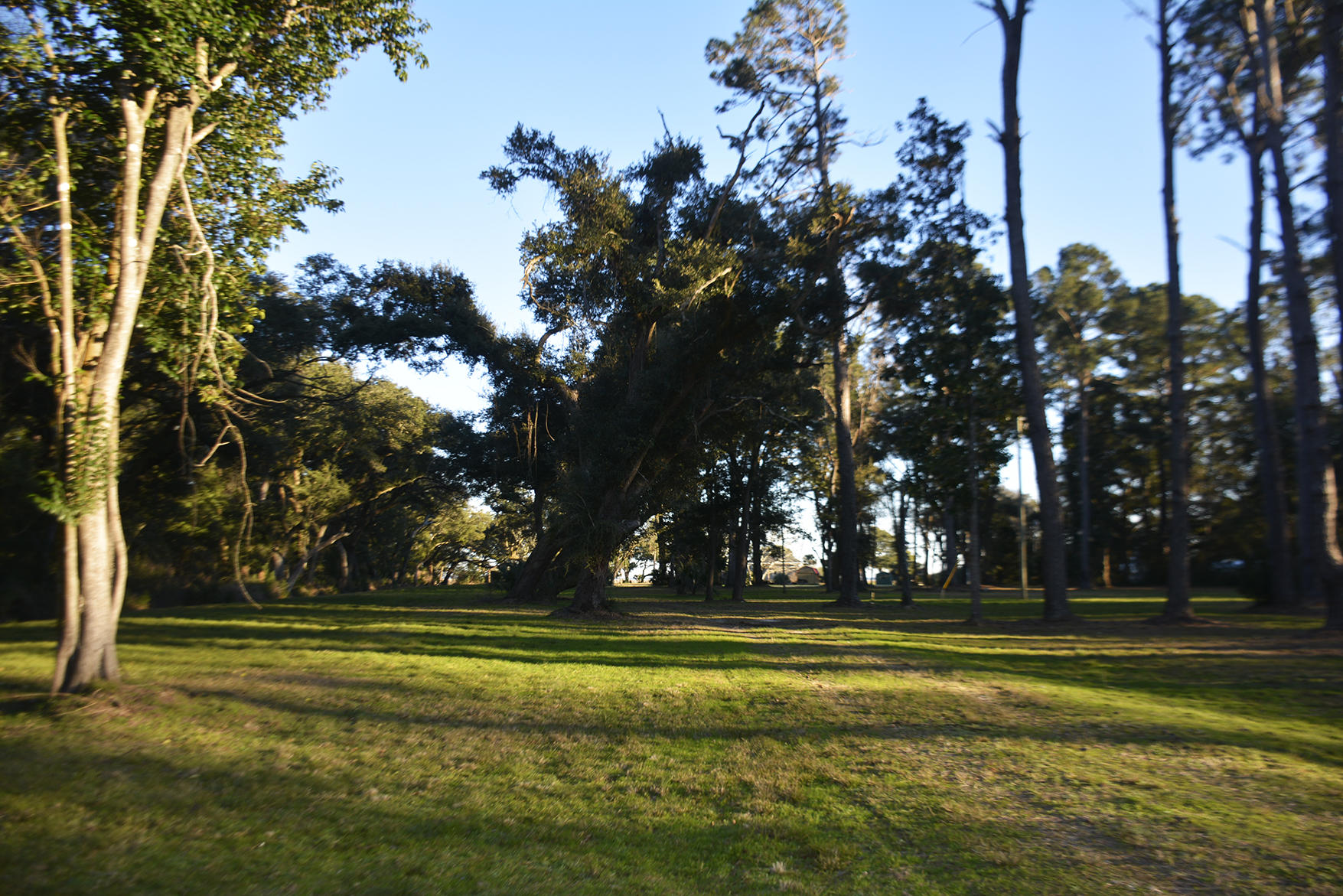 1199 Framptons Inlet Road Edisto Island, SC 29438 - Photo 23 of 69 _DSC7202