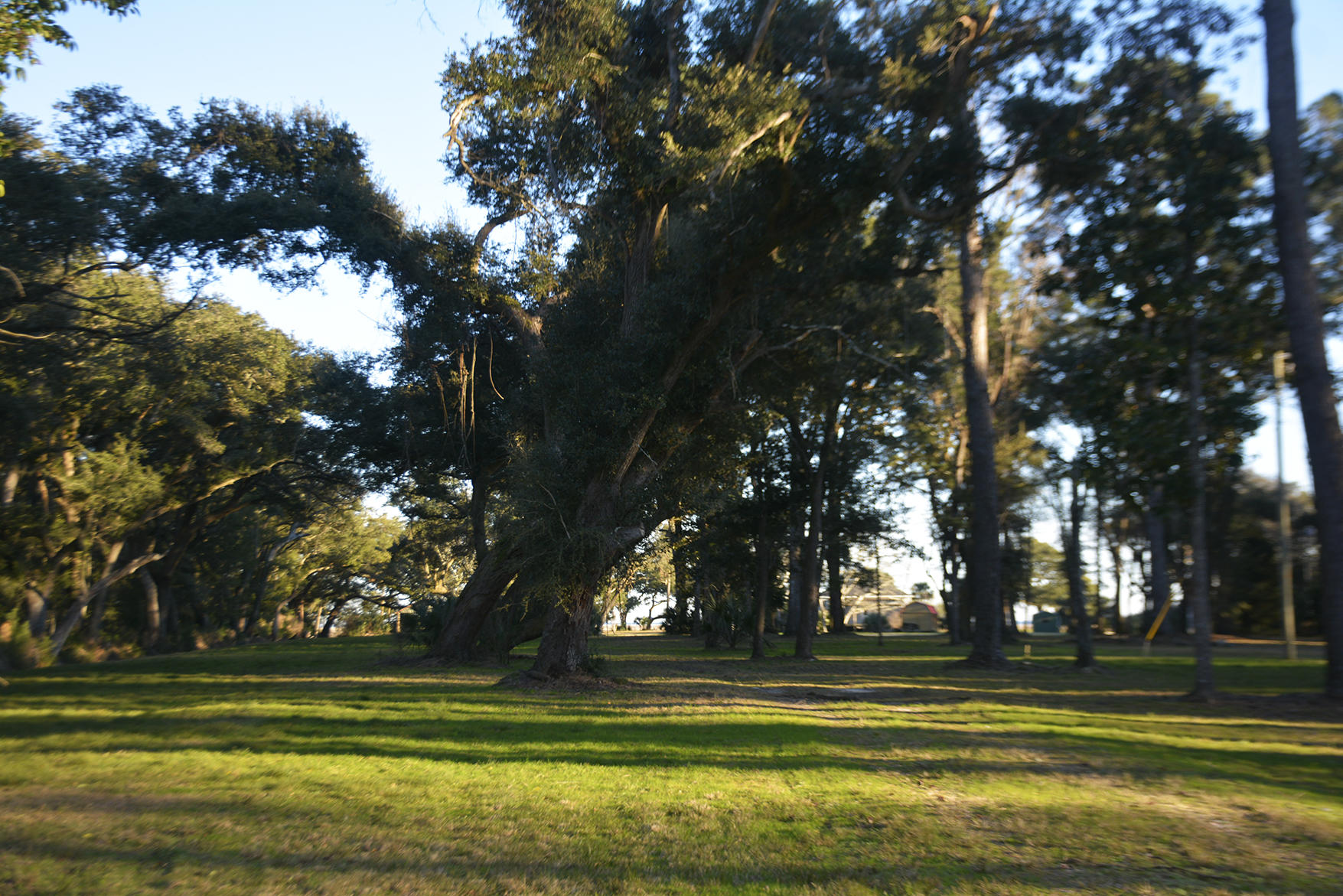 1199 Framptons Inlet Road Edisto Island, SC 29438 - Photo 24 of 69 _DSC7203