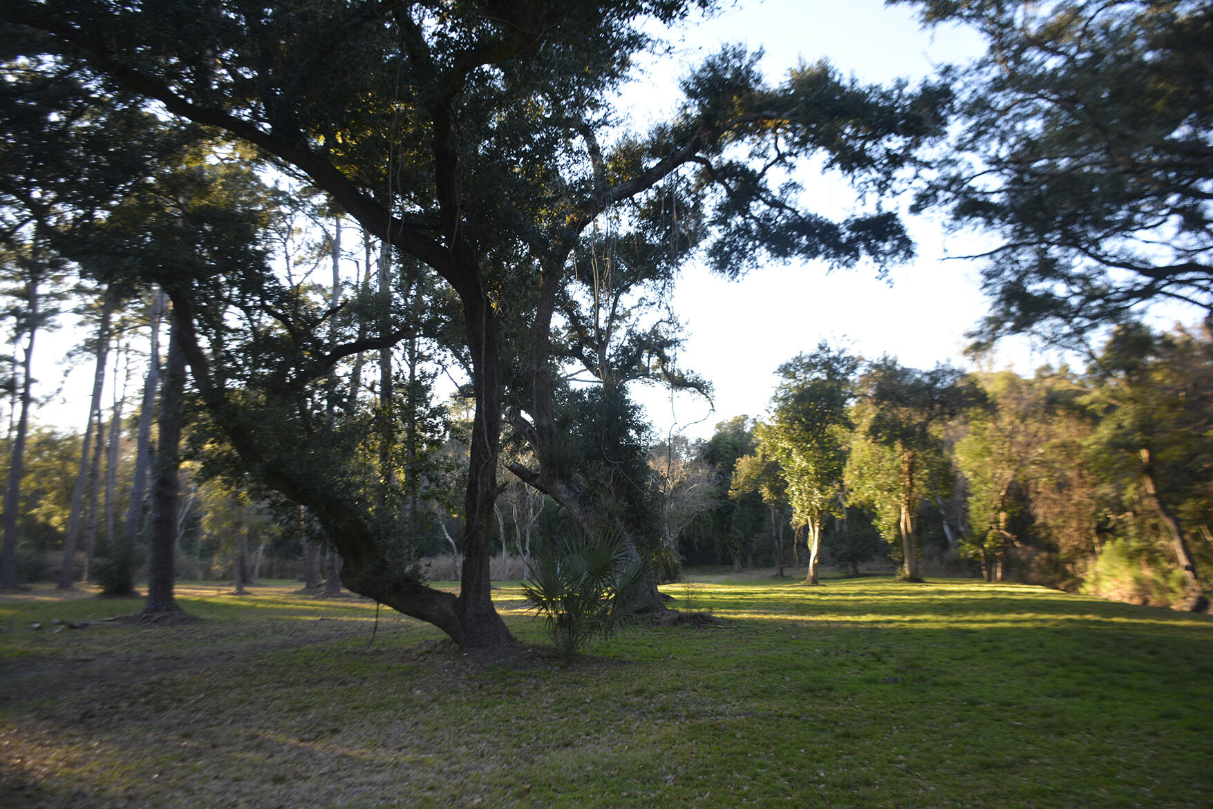 1199 Framptons Inlet Road Edisto Island, SC 29438 - Photo 26 of 69 _DSC7206